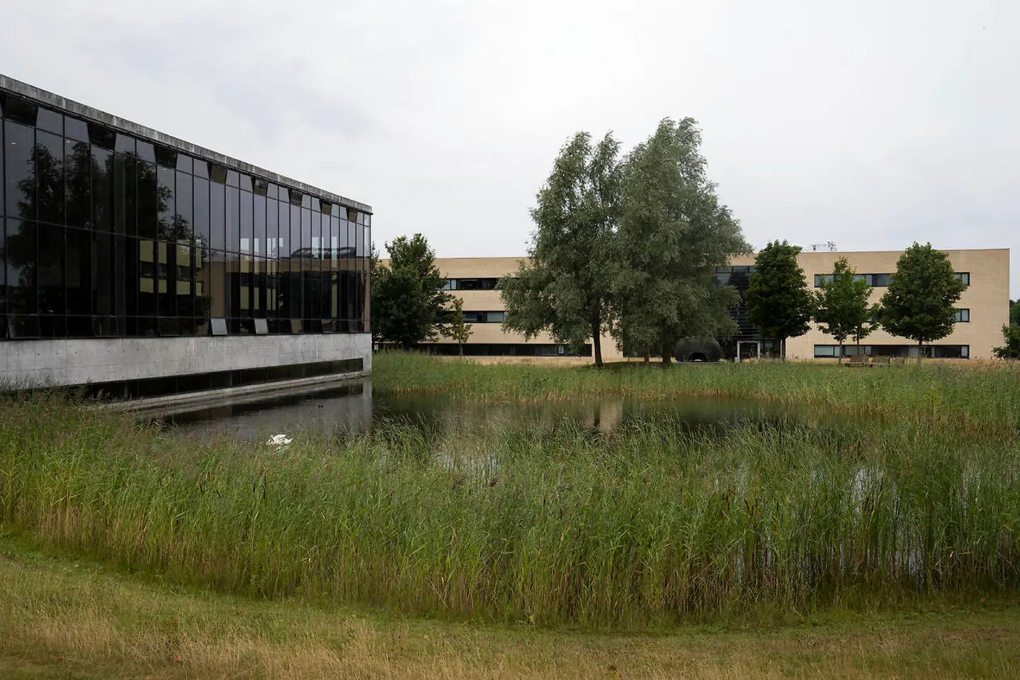 »Jo, RUC har gjort sig stor og stærk på et meget væsentligt fagligt område,« mener en læser, som går i rette med Berlingskes leder om Roskilde Universitet - RUC.