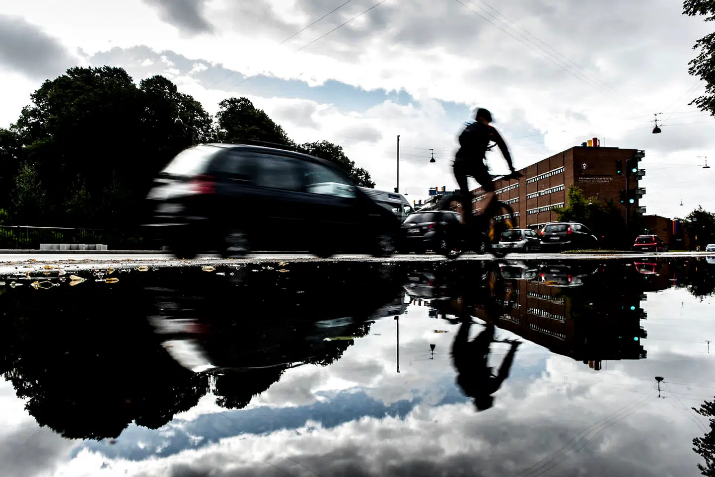 »Tiden er inde til at etablere særskilte hastighedsbegrænsninger for cyklister.«