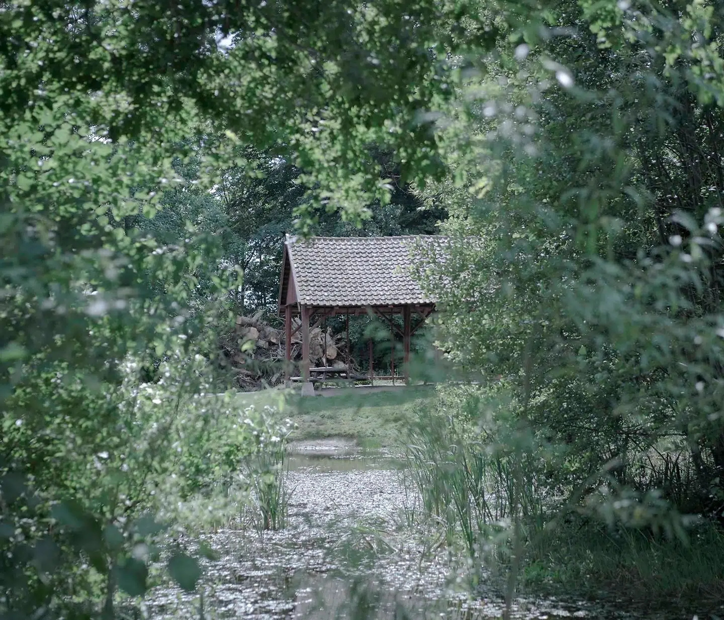 Det sidste seksuelle overgreb fandt sted 25. oktober 2018 i en skov nær ved pigens hjem. Hun og idrætslæreren mødte hinanden ved Den Røde Lade, som er et kendt sted i Dianalund blandt de lokale, inden de gik ind i skoven. Her fikserede han hende med håndjern, halsbånd og halsrem, inden han forgreb sig på hende analt og efterfølgende oralt. Samme dag havde han om morgenen medvirket i P1, hvor han debatterede miljøet i Folkeskolen.