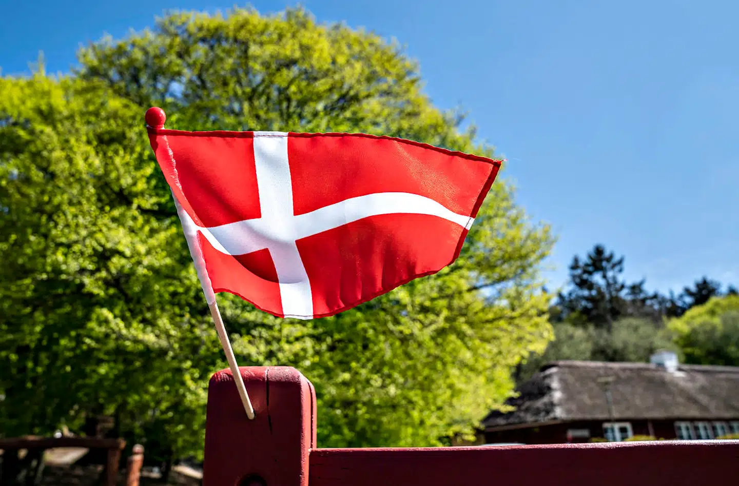 Ny analyse sender Danmark langt ned på listen, når det kommer til at være en førende techregion. Arkivfoto.