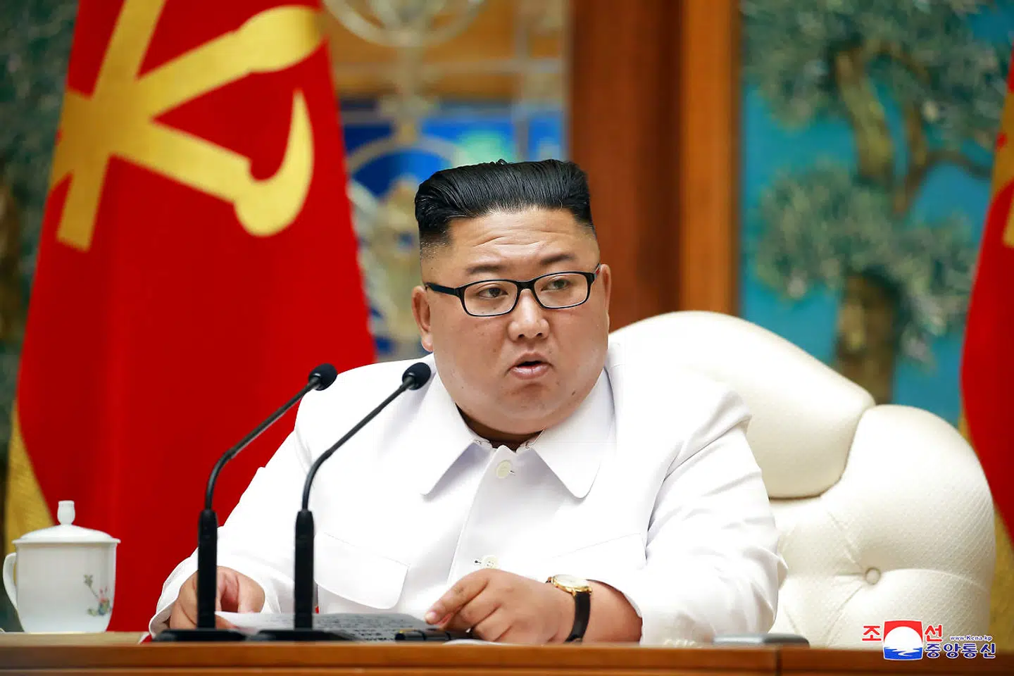 Nu har Nordkorea fået sit første officielle covid-19-tilfælde, oplyser nationens ubestridte leder Kim Jong Un. Udenlandske kommentatorer mener dog, at landet med næsten al tænkelig sandsynlighed har haft adskillige tilfælde.
