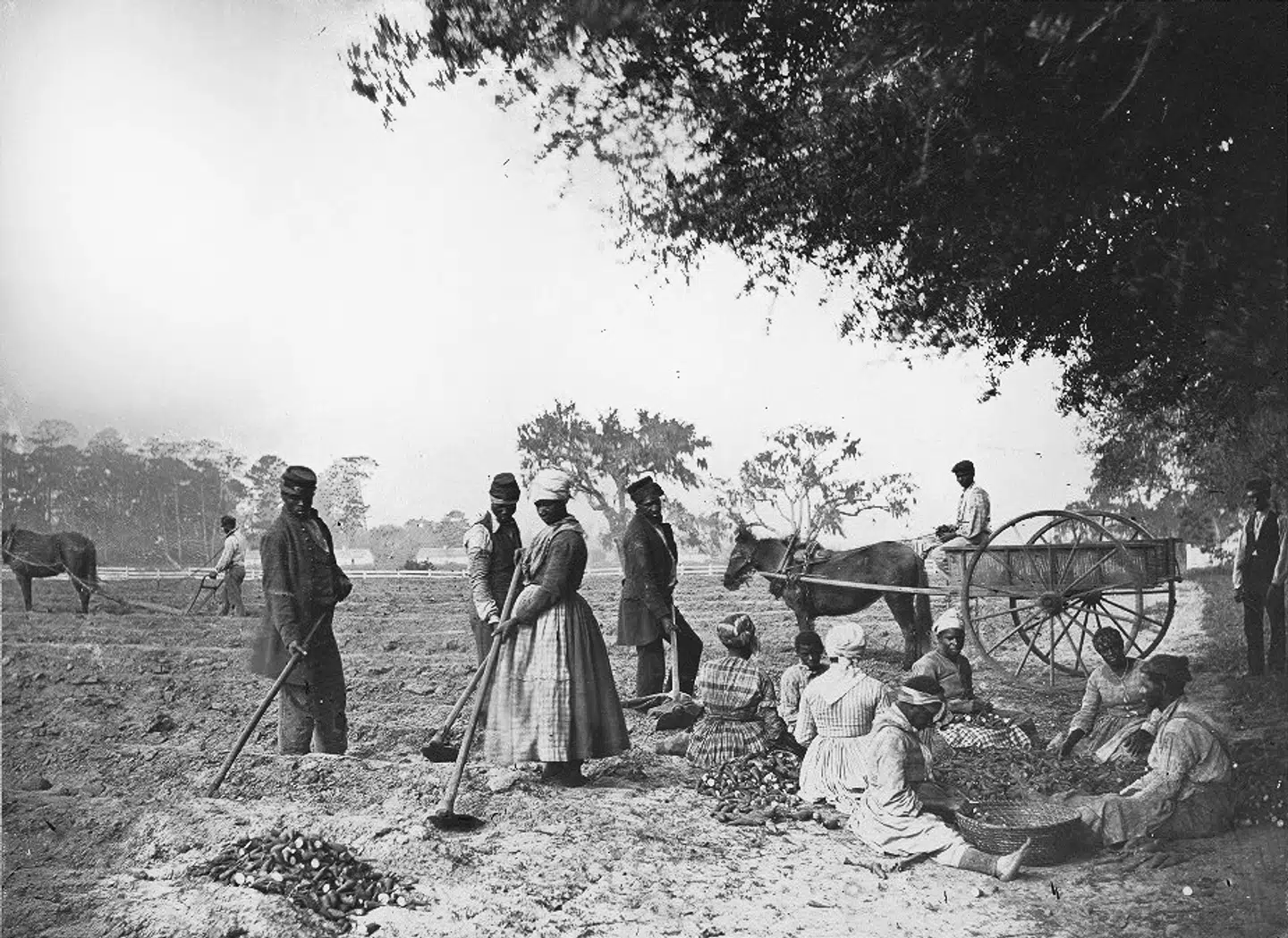Foto: US Library of Congress/Wikipedia