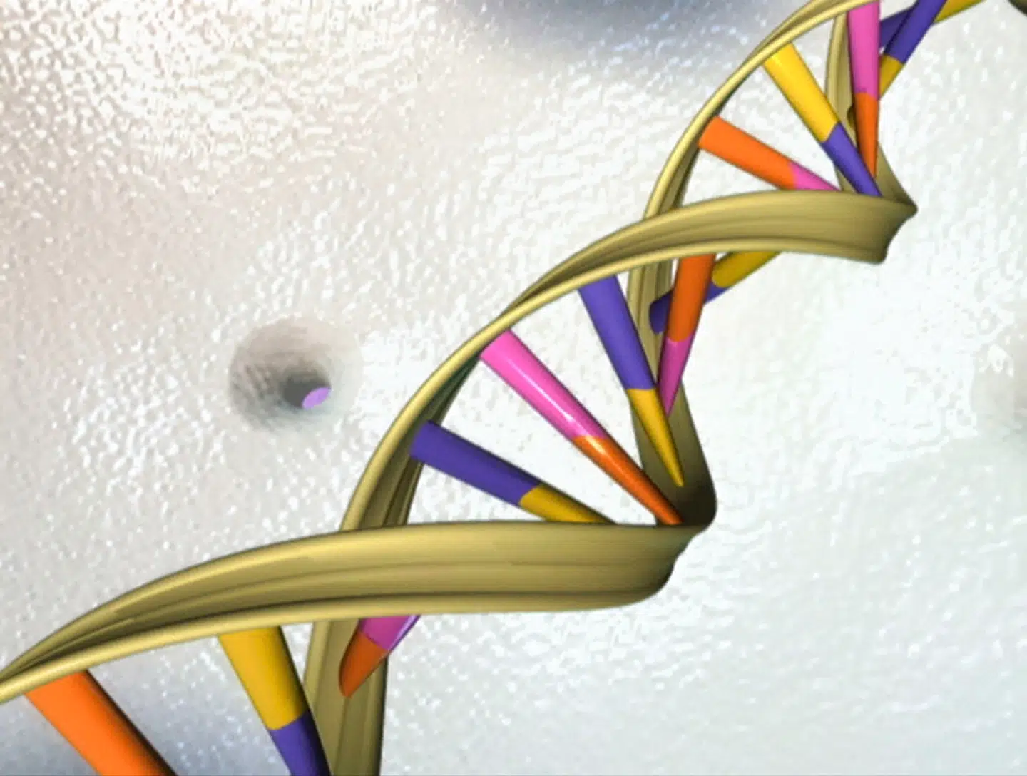 I alt 8450 afsluttede straffesager skal gennemgås for at sikre, at der ikke er sket fejl i forbindelse med brug af dna-beviser. (Arkivfoto) - Foto: Handout/Ritzau Scanpix