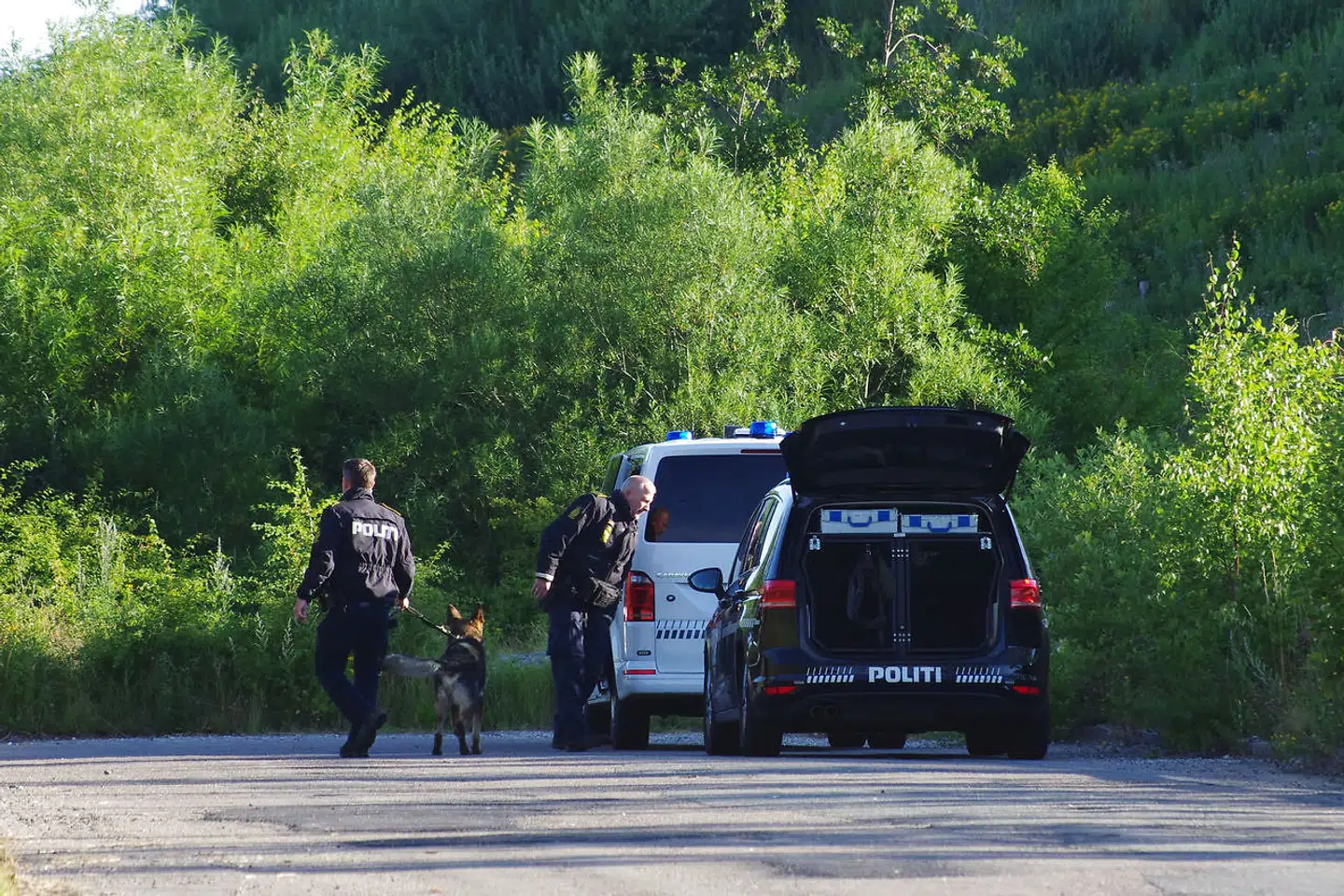 Politiindsats ved Lenesvej i Brabrand i Aarhus, torsdag den 23. juli 2020. En 42-årig er dræbt af knivstik og yderligere to personer er såret på Lenesvej i Brabrand, oplyser Østjyllands Politi torsdag morgen.. (Foto: Øxenholt foto LONE CORNELIUSSEN/Ritzau Scanpix) - Foto: Øxenholt Foto Lone Corneliussen/Ritzau Scanpix