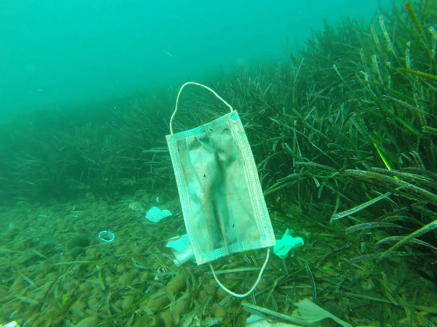 A protective face mask floats, amid the coronavirus disease (COVID-19) outbreak, in this picture taken by a sea clean-up volunteer diver in the Mediterranea sea in May 2020. Laurent Lombard/Operation Mer Propre via REUTERS THIS IMAGE HAS BEEN SUPPLIED BY A THIRD PARTY. MANDATORY CREDIT.NO RESALES.NO ARCHIVES.