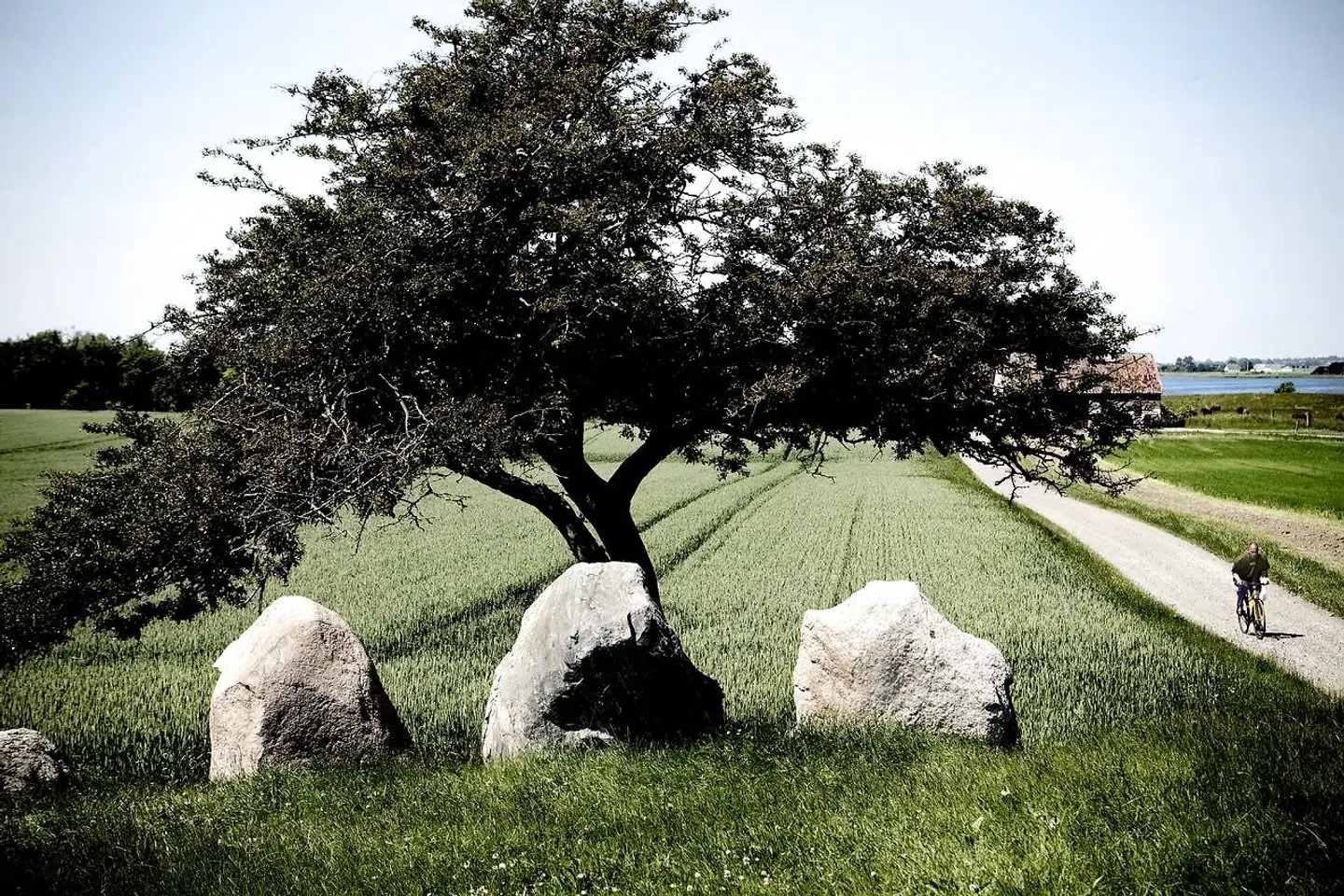 Akrivfoto: Jættestue på Møn.