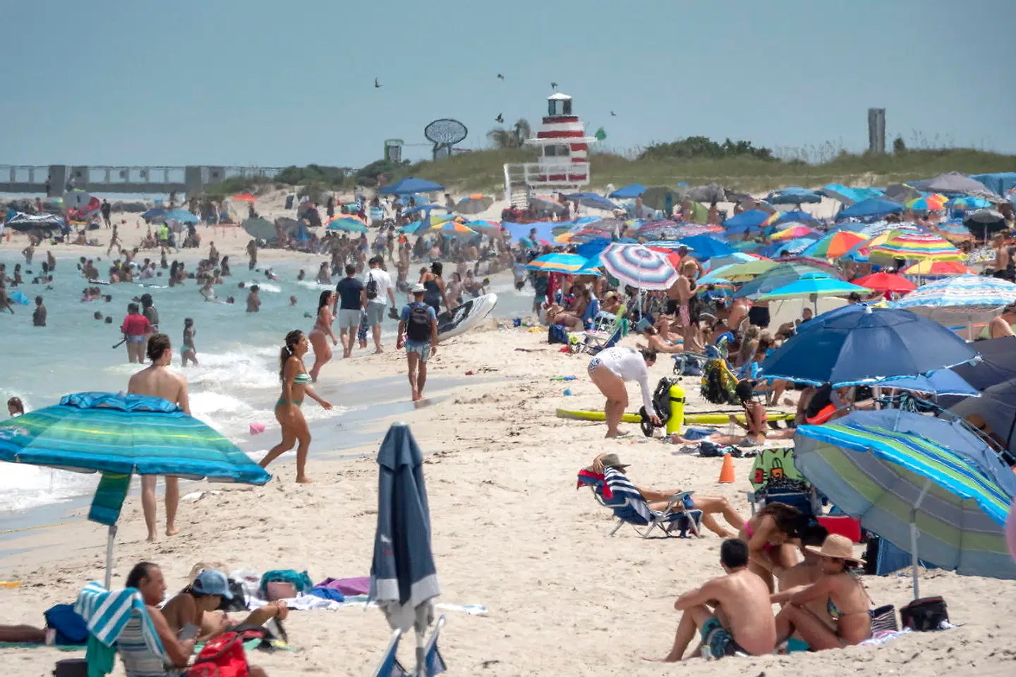 Floridas republikanske guvernør, Ron DeSantis, har ikke villet lukke staten for meget ned – her nyder strandgæster solen på stranden i Miami Beach i weekenden. Florida rapportererede for få dage siden 15.300 nye coronatilfælde på én dag, hvilket er rekord for en dag i USA.