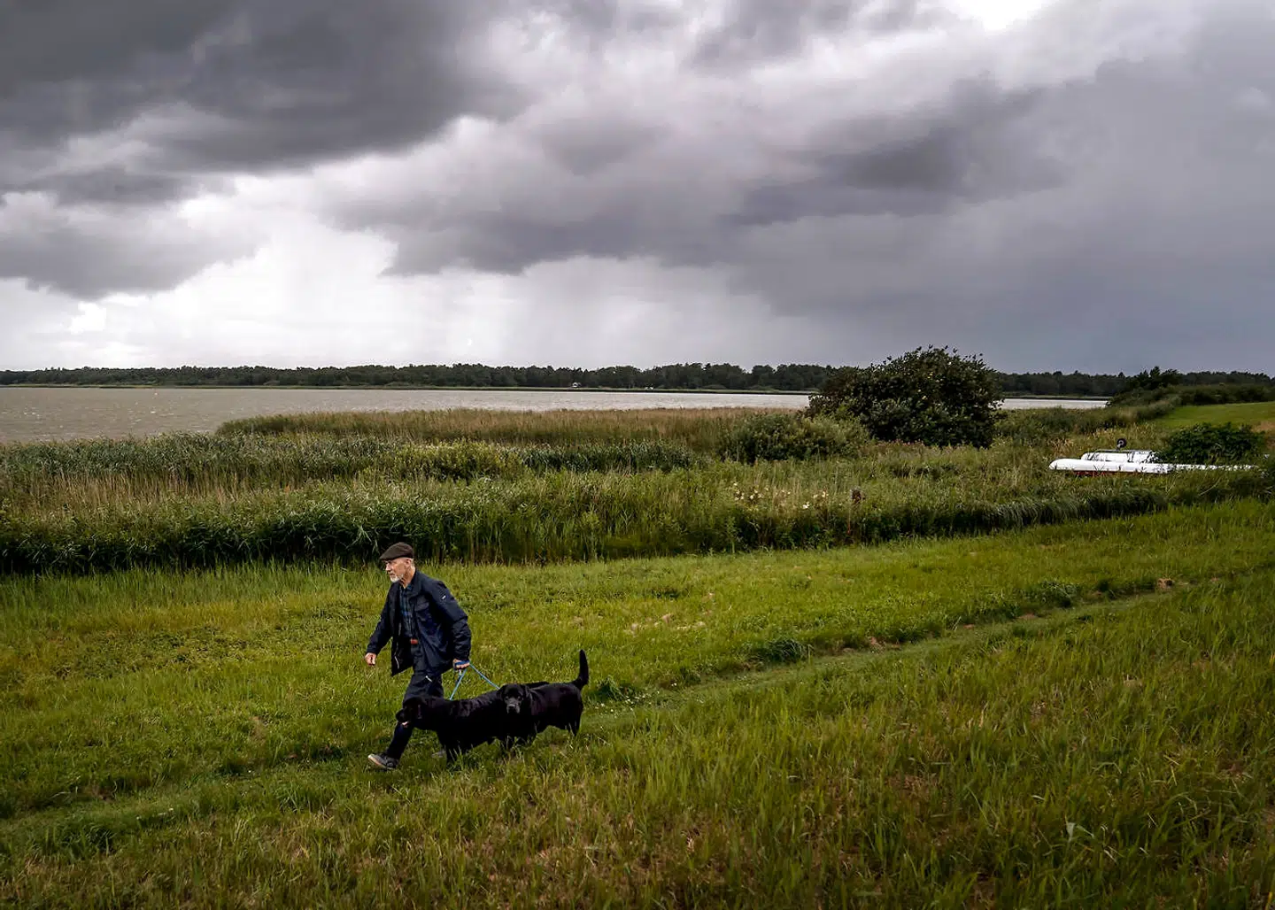 Villy Nielsen går mange ture ved Arresø med sine to sorte labradorhunde, Verdi og Haydn.