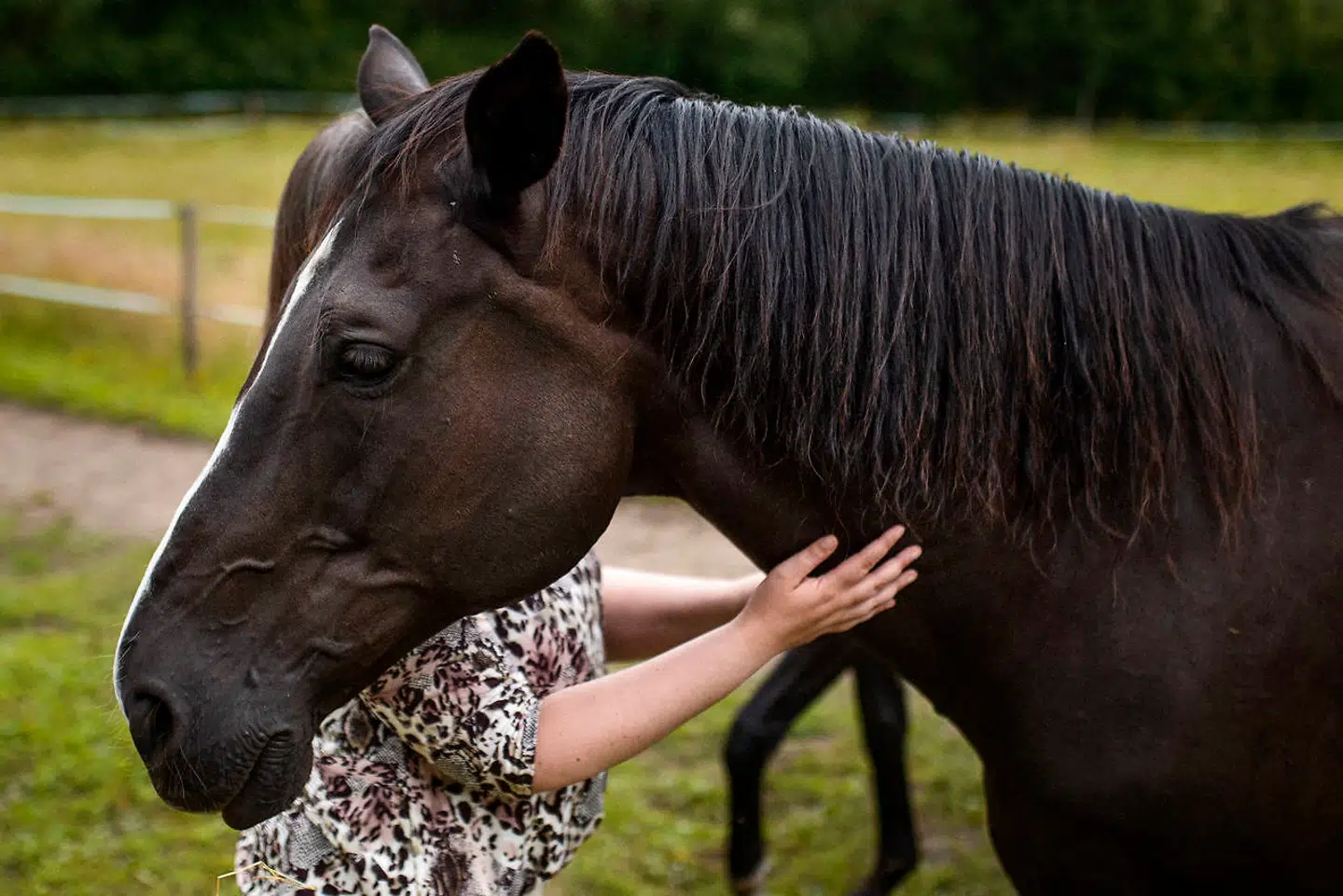 »I dag kan jeg kun være læge, hvis jeg får lov at praktisere det via hestene,« siger Anna Maria Olsen.