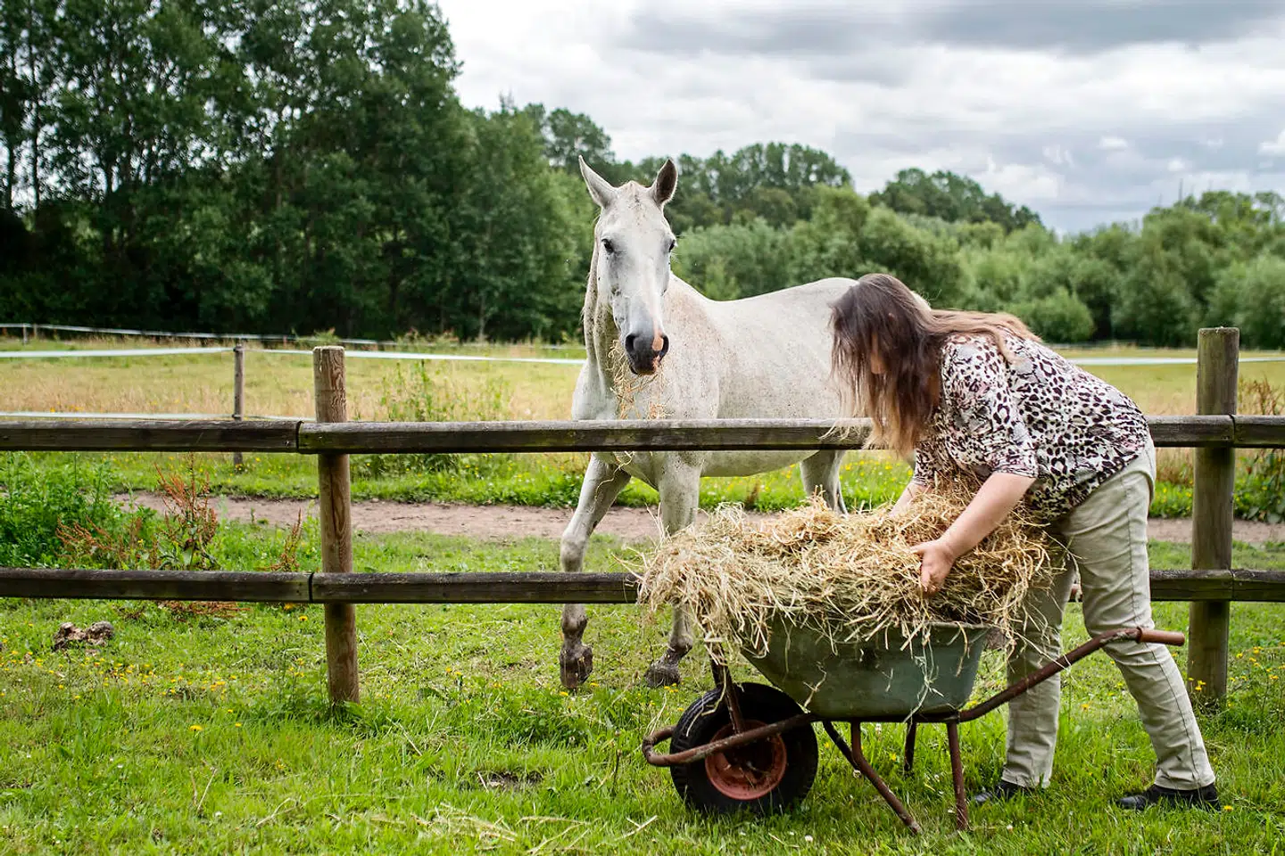 Anna Maria Olsens behandling består blandt andet af, at patienten skal lytte til hestenes gumlen af hø. Her forbereder hun en behandling.