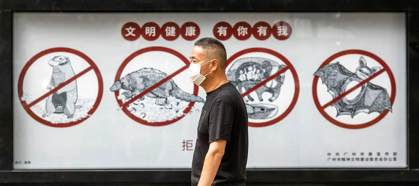 En plakat advarer beboerne i den kinesiske storby Guangzhou om, at det er forbudt at spise flagermus og andre eksotiske dyr. Covid-19 har efter al sandsynlighed bredt sig blandt mennesker via de små, flyvende pattedyr, der også mange steder i Vestafrika indgår i det lokale menukort.