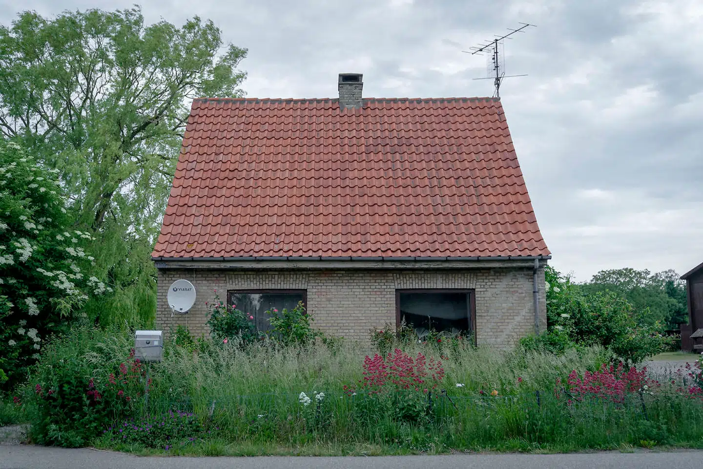 Kenneth Schwartz Thomsens fars selskaber ejer en række ejendomme på Lolland, der i flere tilfælde er købt på tvangsauktion eller meget billigt.