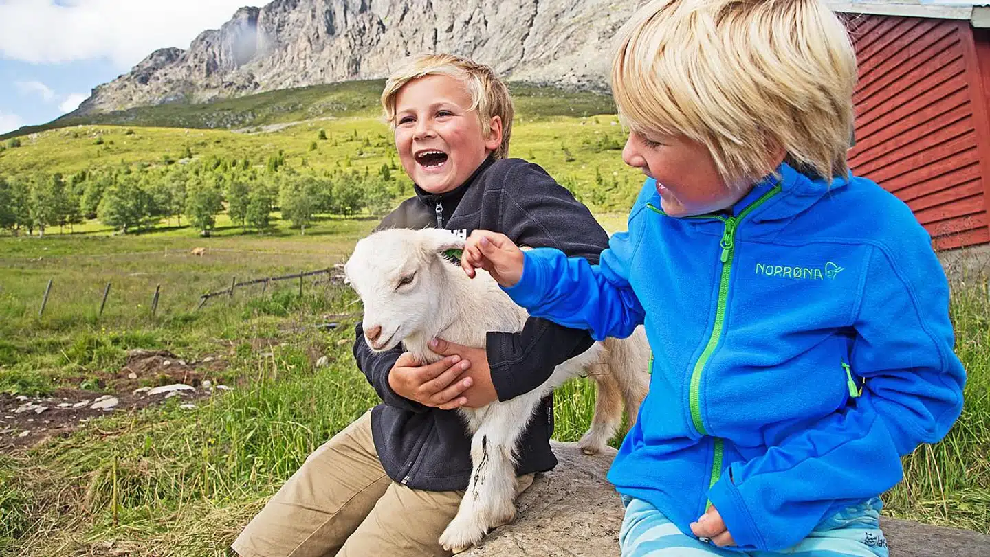 100 år gamle traditioner bliver holdt i hævd på Ulsåkstølen, hvor I kan hilse på geder, høns, grise og kaniner. Smag også de nybagte flatbrød og de pandekagelignende kvikaku.