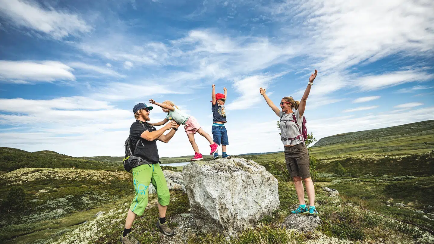 Hemsedal er populært blandt skiturister, men tiltrækker også mange turister om sommeren. De savtakkede fjelde i området gør, at dalen har skaffet sig tilnavnet "de skandinaviske alper".