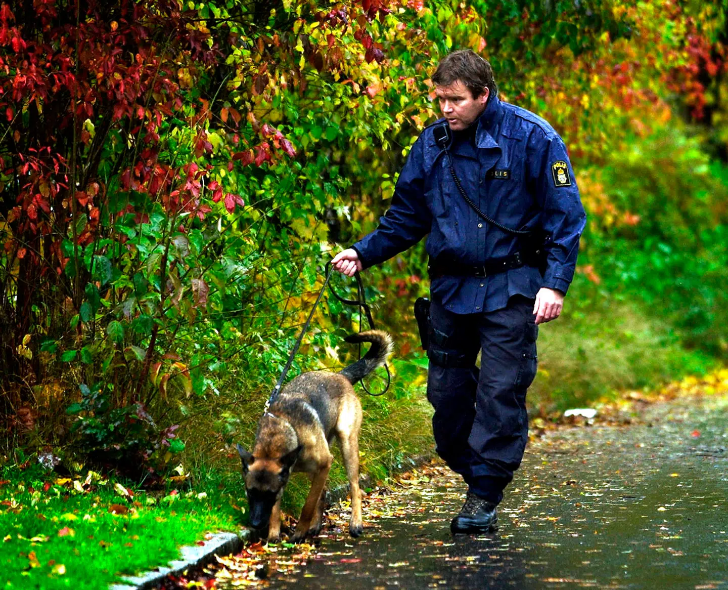 Politiet fandt en butterflykniv liggende på vejen ved siden af det ene mordoffer. Senere viste det sig, at morderen havde efterladt en blodig hue udenfor en butik i Linköbing. Det gav vigtige DNA-spor i jagten.