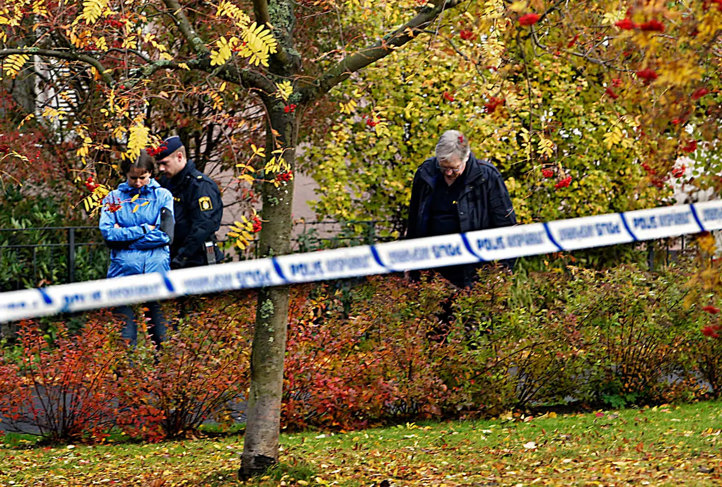 Den 37-årige Daniel Nyqvist erkendte hurtigt dobbeltmordet, da han 9. juni i år blev pågrebet af politiet i Linköping. Det viste sig, at han nærmest havde levet under jorden siden mordet og kun havde sporadisk kontakt til omverdenen. Han hverken arbejdede eller havde venner.