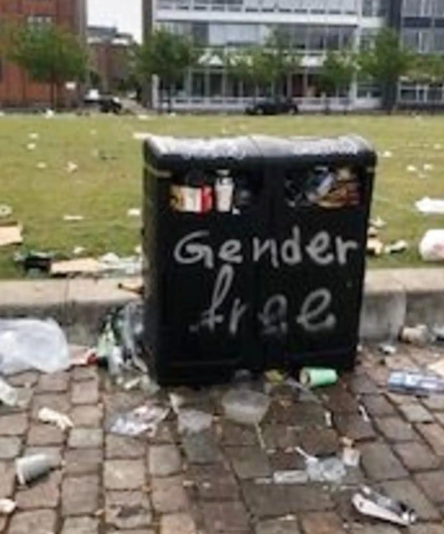 På Islands Brygge i København efterlader festende unge store mængder skrald i og omkring Havneparken.
