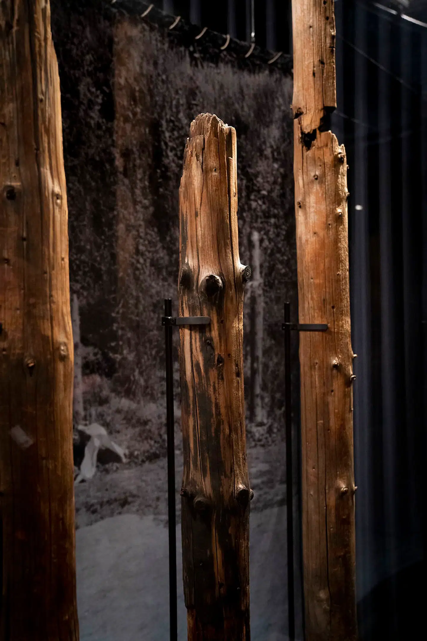 Heldigvis blev de tre henrettelsespæle fra Ryvangen, der var udstillet på det gamle Frihedsmuseum, reddet ud, da museet brændte. Nu udstilles disse tre pæle, der er blandt vor nations vigtigste genstande, på det nye museum. Det er svært ikke at blive dybt bevæget.