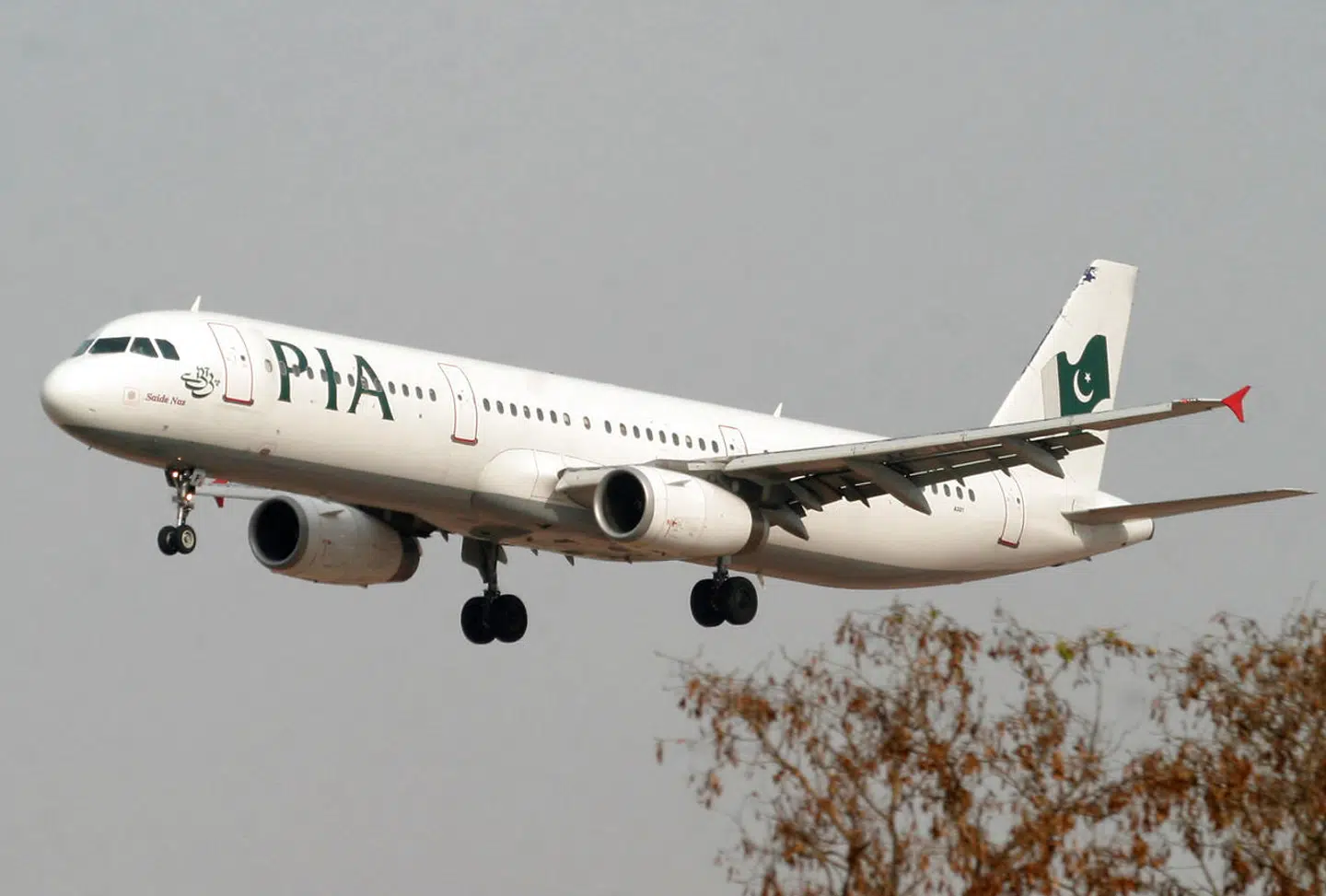 Arkivfoto. Et fly fra Pakistan International Airlines lægger an til landing i den pakistanske hovedstad, Islamabad. Selskabet har nu fået forbud mod at operere i EU-landene resten af året, efter at Pakistans minister for luftfart har betegnet hundredvis af pakistanske piloters flycertifikater som »tvivlsomme«.