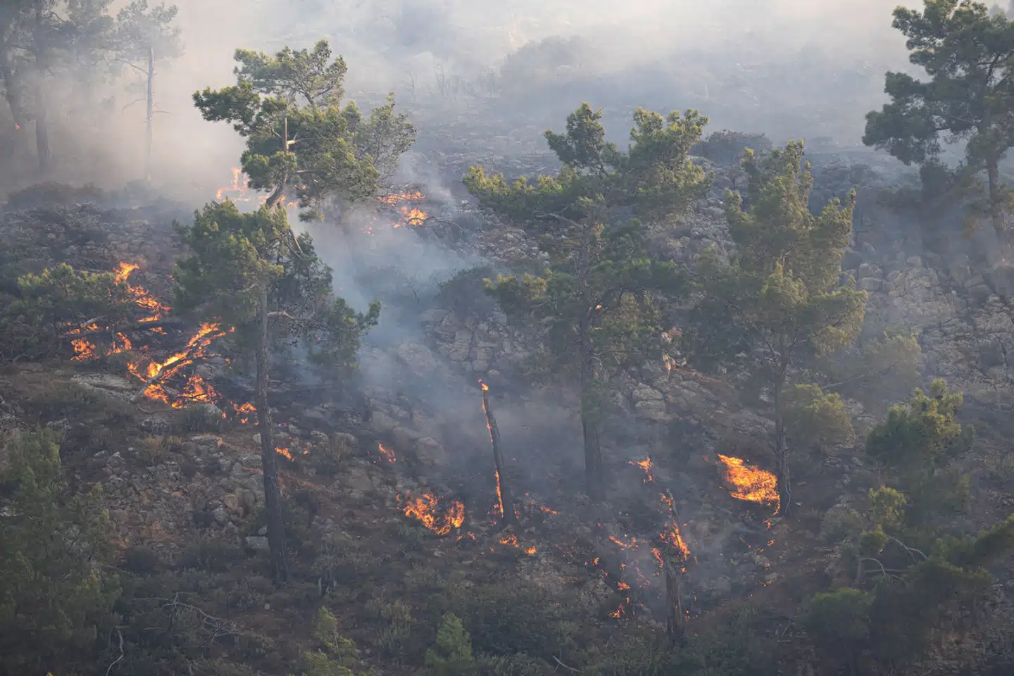 Søndag og mandag har der været omfattende naturbrande på den grænske ø Rhodos. (Foto: REUTERS/Vassilis Ikoutas/Ritzau Scanpix).
