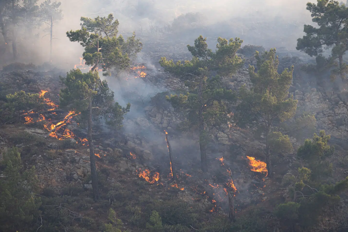 Søndag og mandag har der været omfattende naturbrande på den grænske ø Rhodos. (Foto: REUTERS/Vassilis Ikoutas/Ritzau Scanpix).