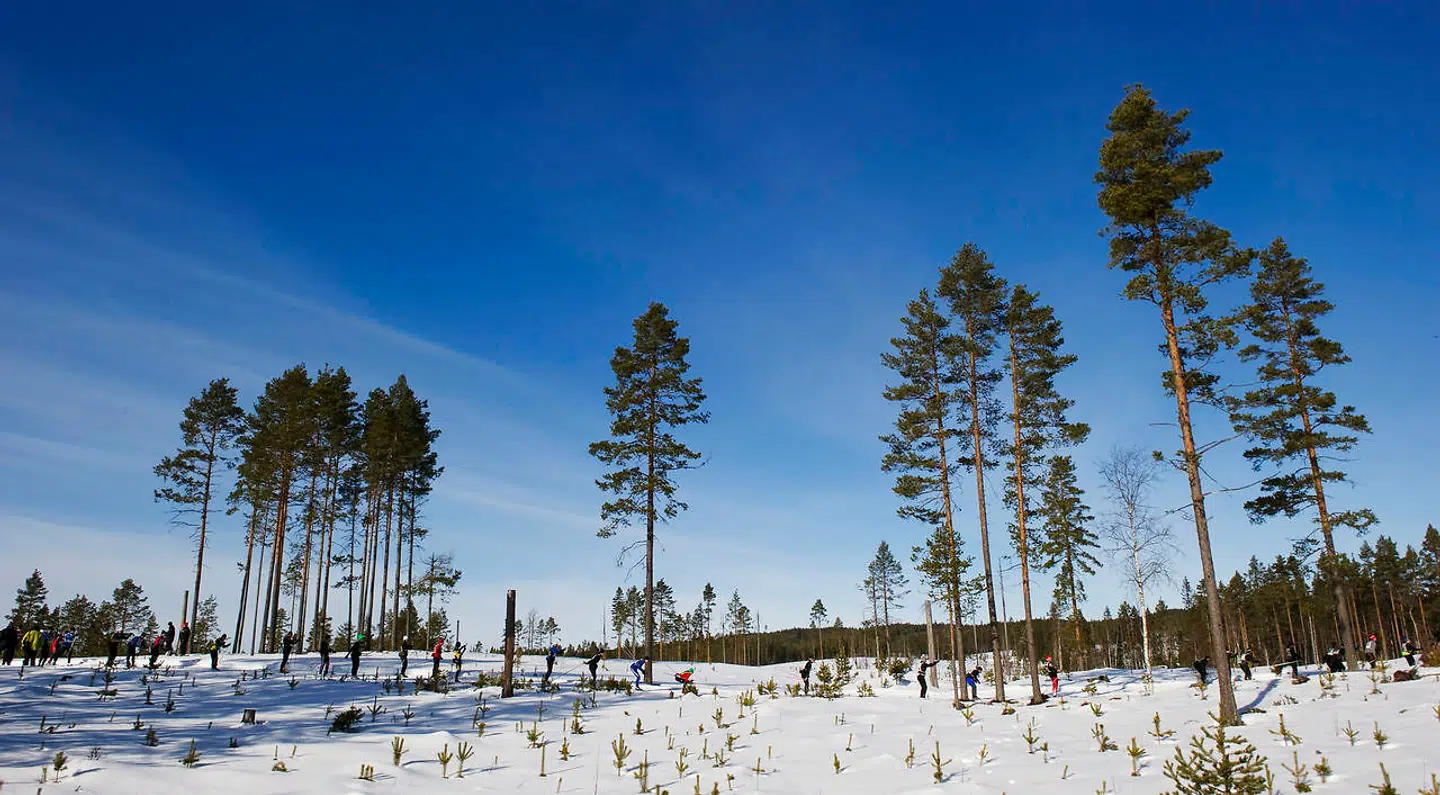 Arkivfoto. Dalarna er den region i Sverige, som har haft den fjerdestørste overdødelighed under virusudbruddet.