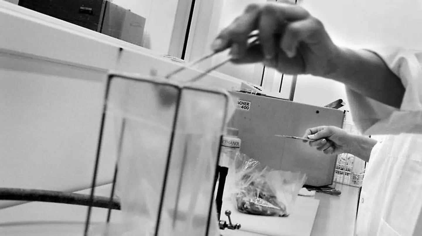 Lægemiddel til hjæp i kræftbehandling har vist sig at være særdeles værdifuldt på børsen.