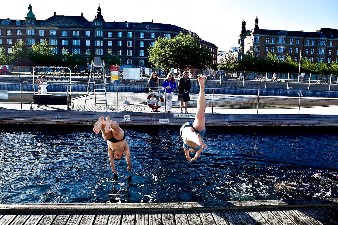 Ved 21 badesteder i København og omegn frarådes det, at man springer i vandet. Blandt andet ved Havnebadet på Islands Brygge.