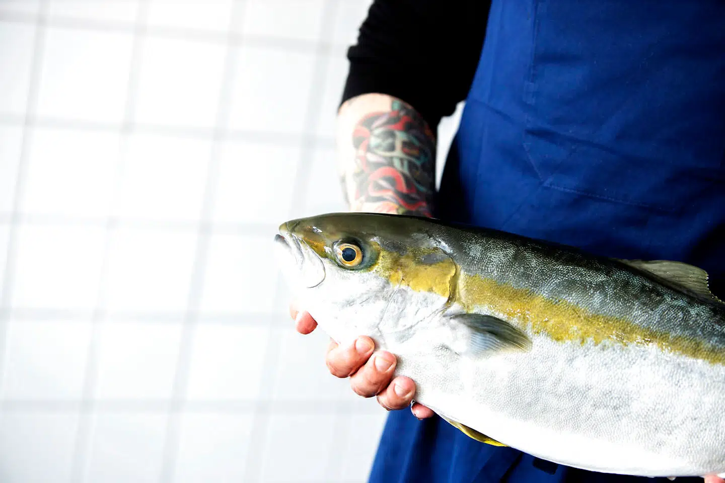 Hos Kødbyens Fiskeslagter bliver der kun solgt lokalt fangede fisk. Derfor har butikken et smallere sortiment.