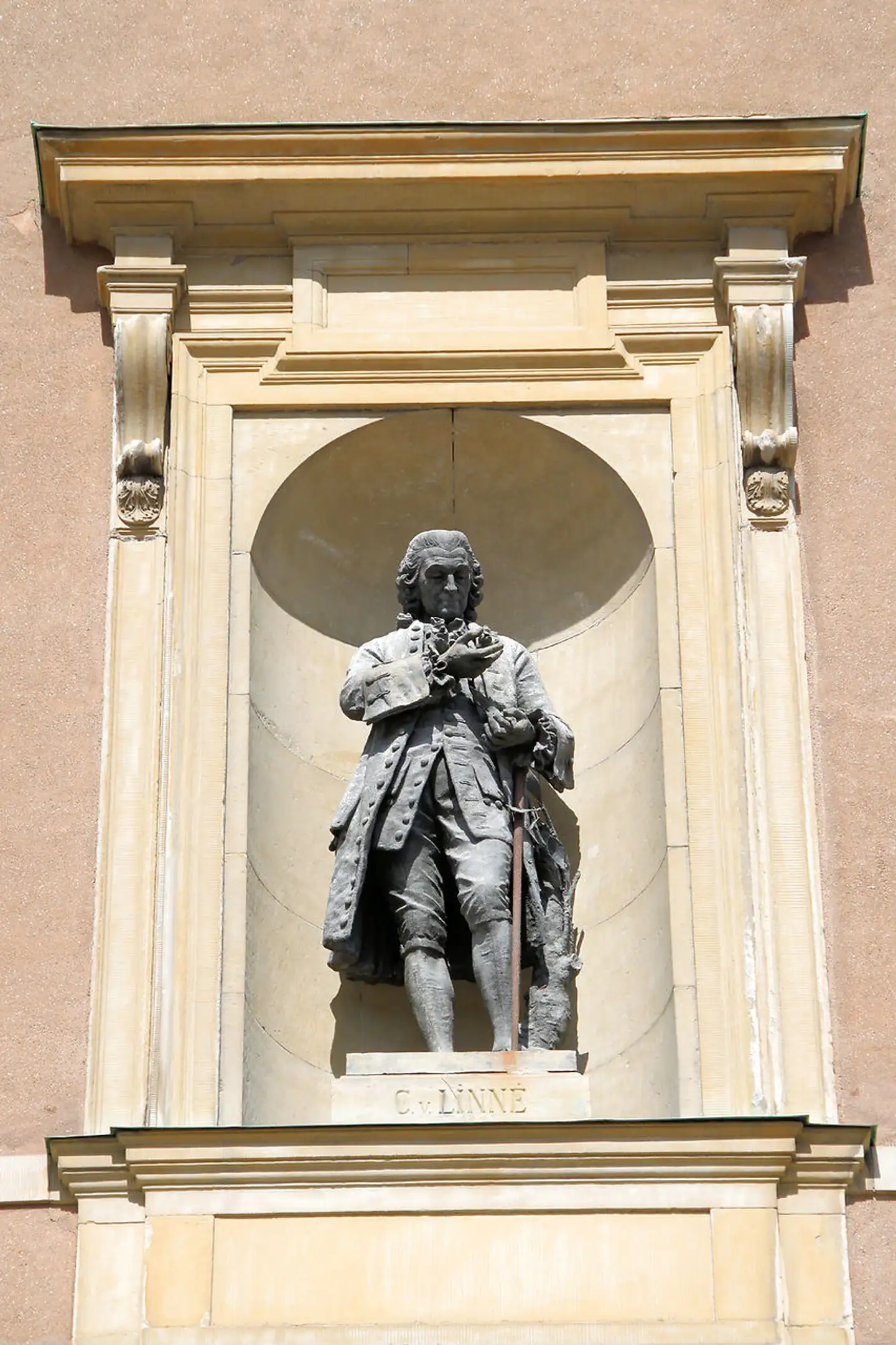Der rejses nu krav om, at statuer af den verdensberømte botaniker Carl von Linné nedtages. Det sker, med henvisning til at han tilsyneladende skrev nedsættende om sorte. Denne statue af Linné står ved kongeslottet i Stockholm.