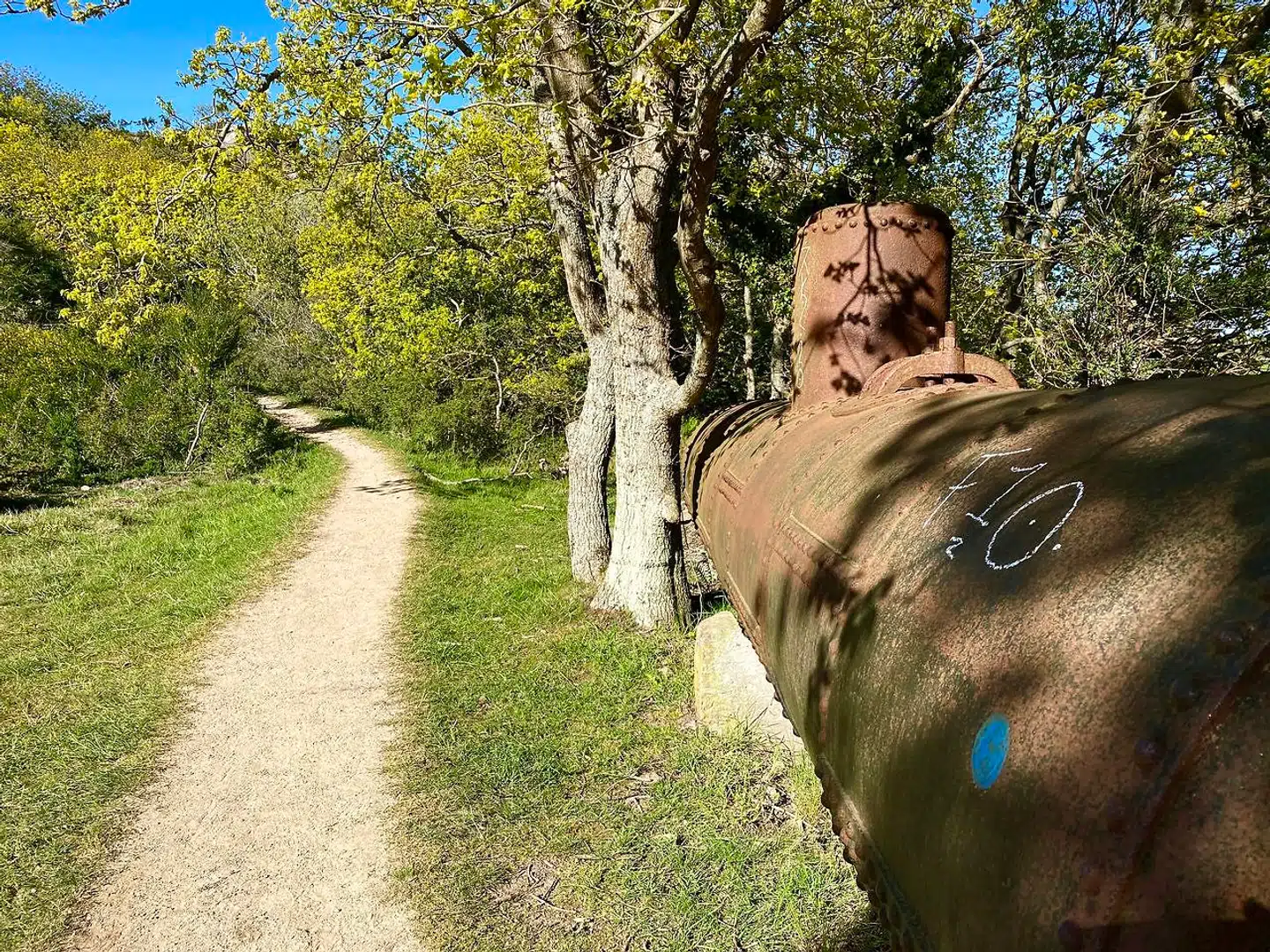 »Bornholm, Bornholm, Bornholm – du' den dejligste ferieø.« Og det er der mange, der synes. Her får du 10 steder på solskinsøen, hvor du (næsten) kan være i fred.