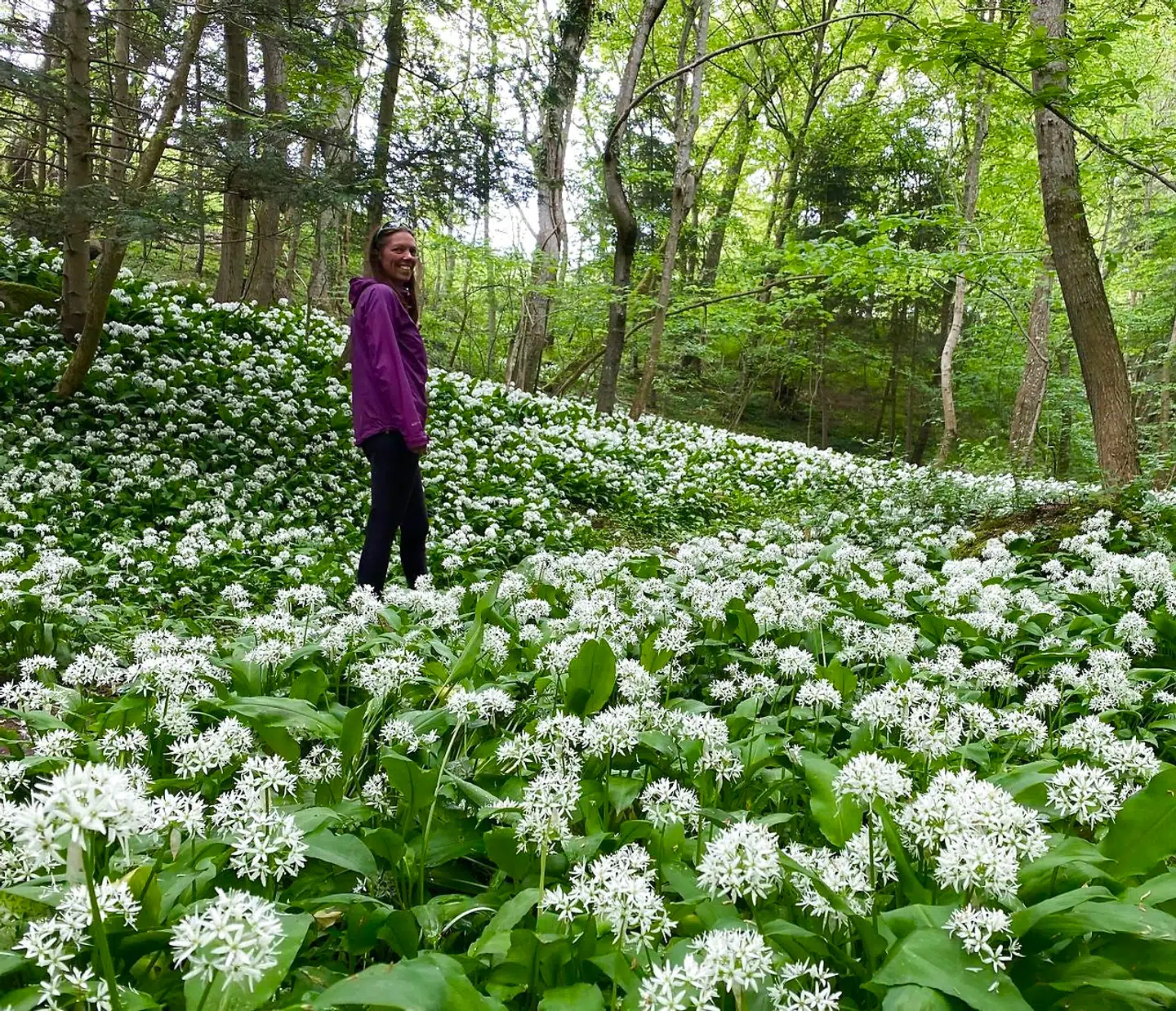 En af de absolut smukkeste kortere vandreture på Bornholm er gennem Kobbeådalen.