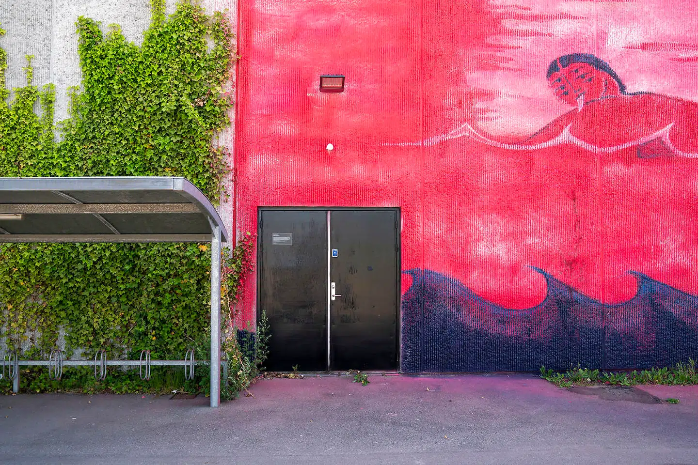 Kinga Bartis får noget sjovt ud af det farvemæssige sammenstød med Valby-Hallens vedbend.