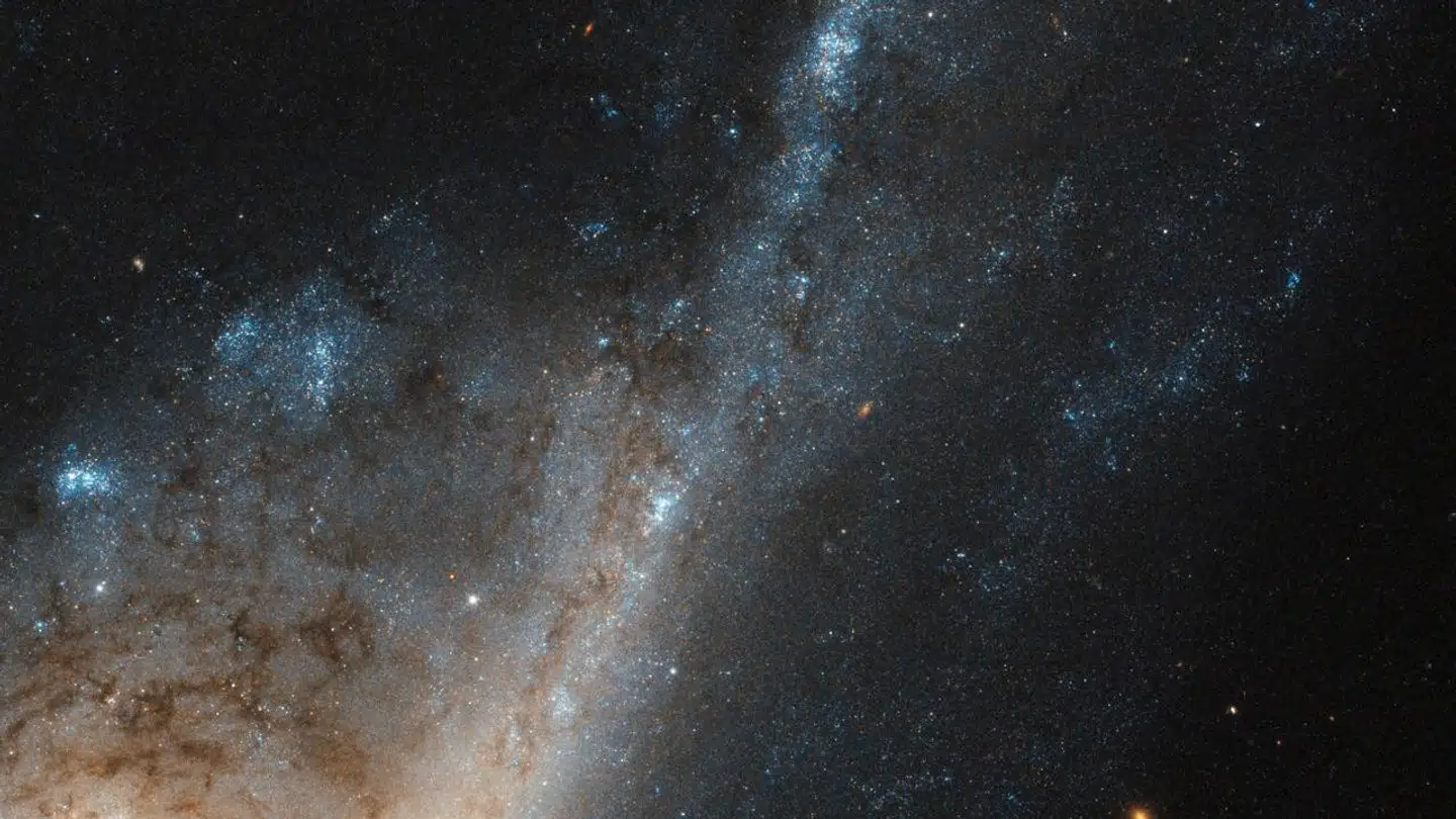 Galaksen ved navn NGC 4536 ligger 50 millioner lysår væk og ses derfor med 50 millioner års forsinkelse. Men kan vi stadig kalde begivenhederne i den for »nu«? Foto: NASA NASA/Scanpix 2017