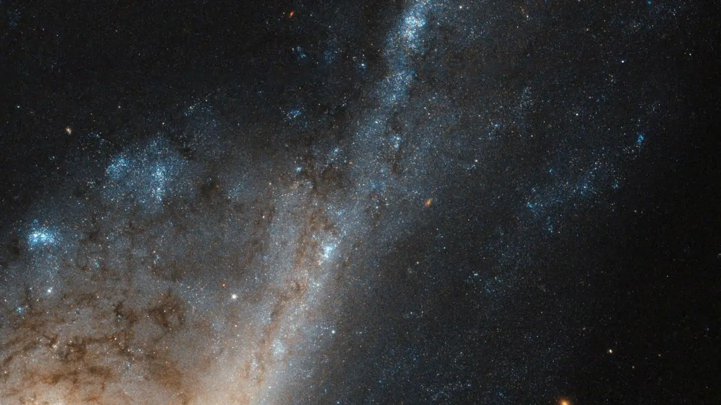 Galaksen ved navn NGC 4536 ligger 50 millioner lysår væk og ses derfor med 50 millioner års forsinkelse. Men kan vi stadig kalde begivenhederne i den for »nu«? Foto: NASA NASA/Scanpix 2017