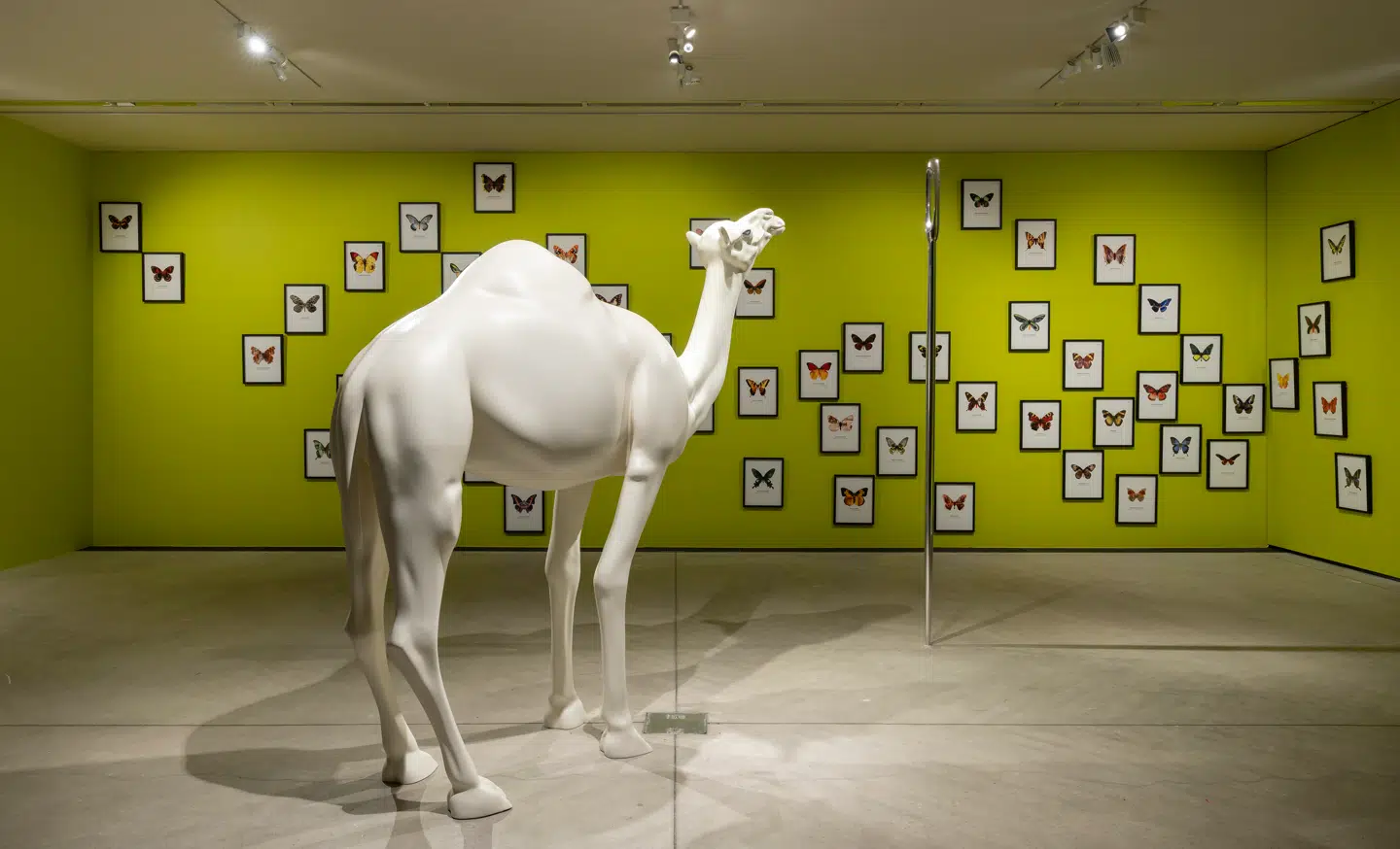 Ikke alle skulpturer rummer et afgrundsdybt filosofisk erkendelsepotentiale. Undertiden er en skulptur blot en sjov sammenstilling som John Baldessaris dromedar, der spekulerer på, hvordan den i alverden kommer gennem nåleøjet.