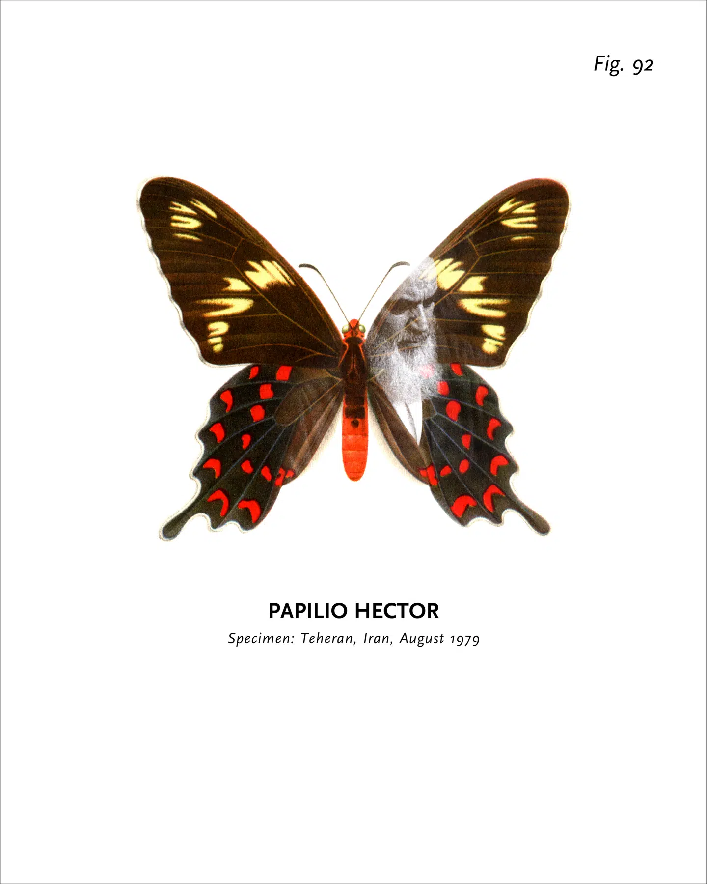 Peter Holst Henckel bidrager til Arkens udstilling med sin serie »World of Butterflies«, der består af 68 enkelttryk hver især forestillende en sommerfugl knyttet til en bestemt lokalitet i verden – hvor der så også er en overflod af mord, vold og modbydelighed. Her er vi i Teheran i Iran.