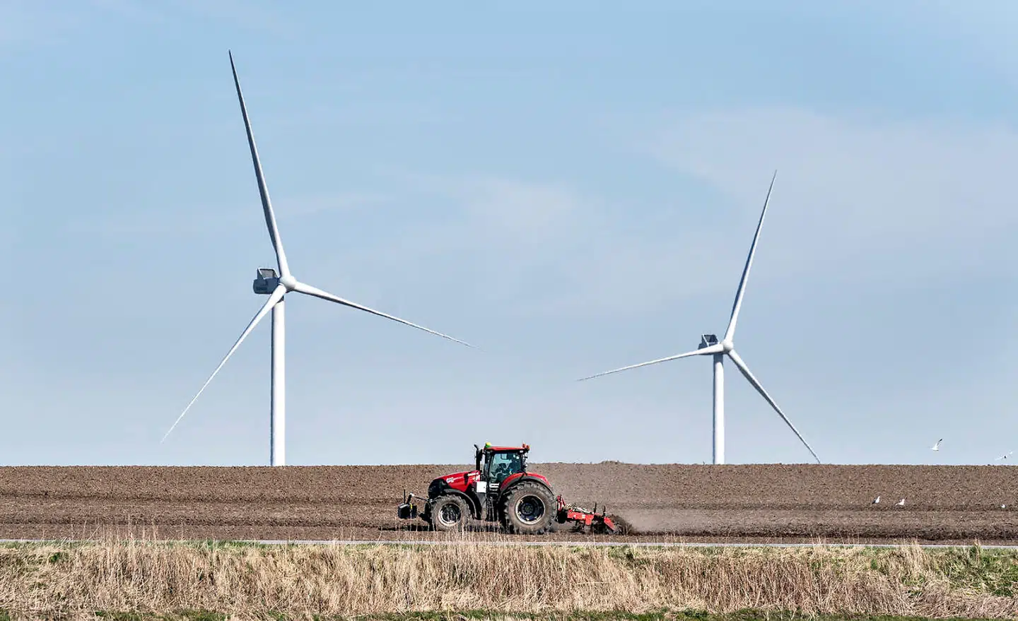 »En rig natur er en uerstattelig værdi, men i dag er stort set samtlige naturtyper skadet, og flere tusinde arter er på listen over truede arter. Når en art uddør, frarøves de næste generationer ikke alene en æstetisk og kulturel værdi, men også de ufatteligt mange goder, som naturen leverer,« skriver Mads Nipper, Anders Fæste og Maria Reumert Gjerding.