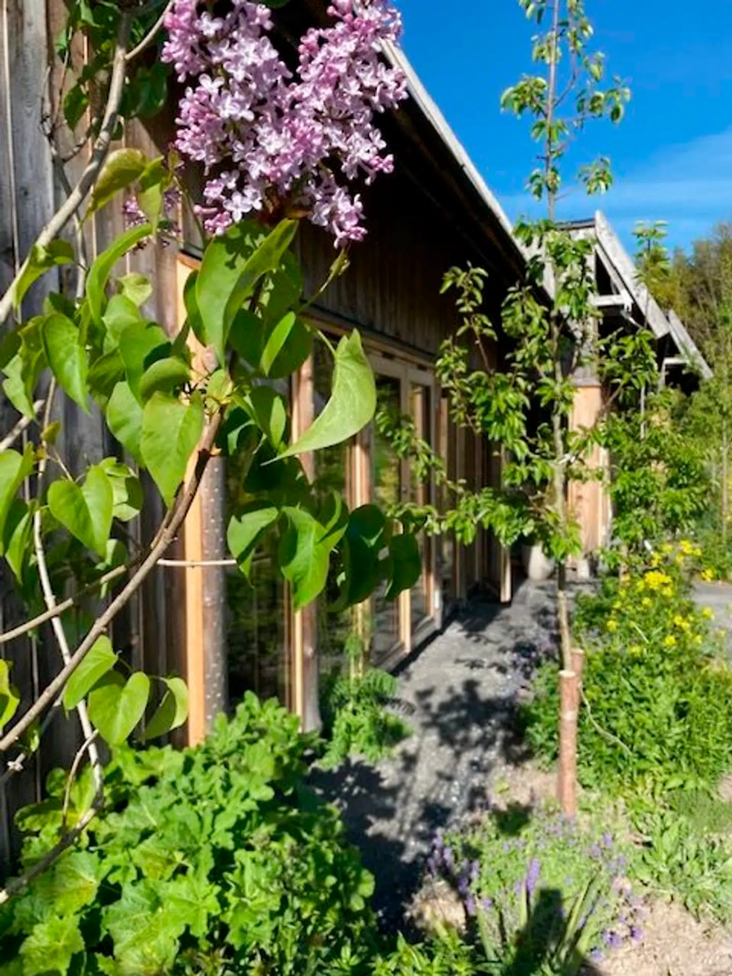 Bæredgtighed er tænkt ind overalt på Restaurant Moment – både i maden og konstruktionen af selve restaurantbygningen.