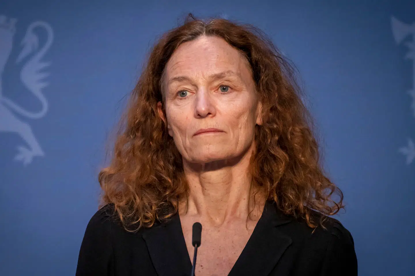 Direktør for Folkehelseinstituttet Camilla Stoltenberg siger, at Norge formentligt kunne have klaret sig gennem coronakrisen uden nedlukning.