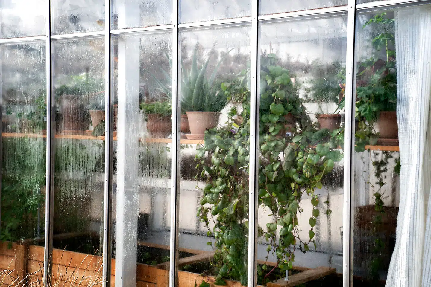 Mad Symposium skal muligvis overtage det gamle Københavns Madhus’ rolle og hjælpe Københavns Kommune i en mere bæredygitig retning, når det kommer til mad.