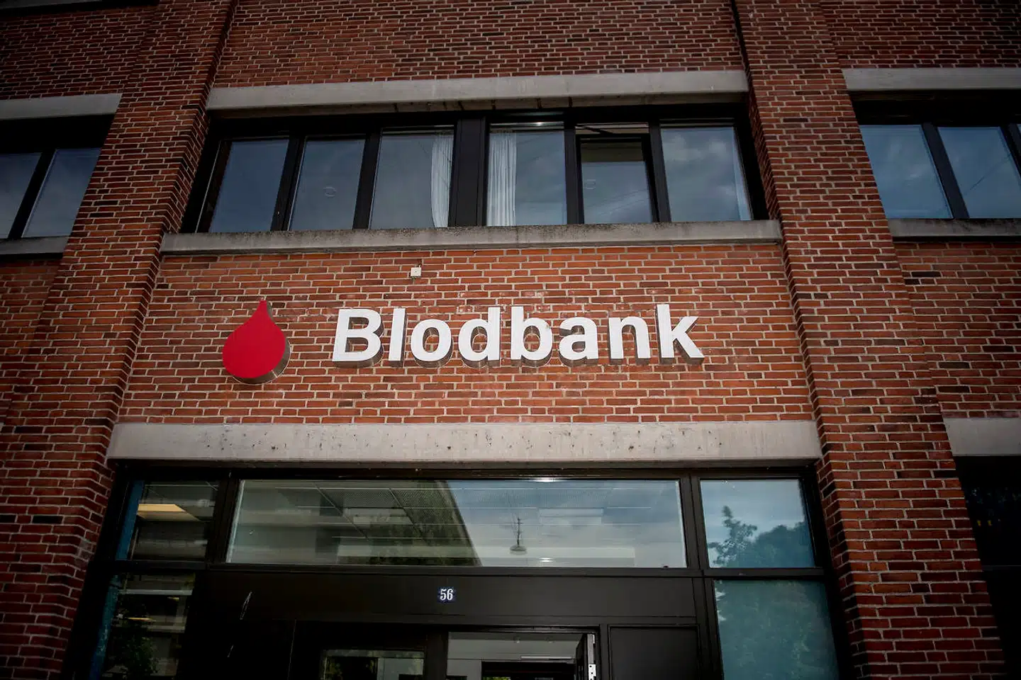 I april meldte rekordmange bloddonorer sig til at blive tappet - det skete, efter at bloddonorer begyndte at få tilbudt test for, om man har dannet antistoffer mod coronavirus. (Arkivfoto). - Foto: Mads Claus Rasmussen/Ritzau Scanpix