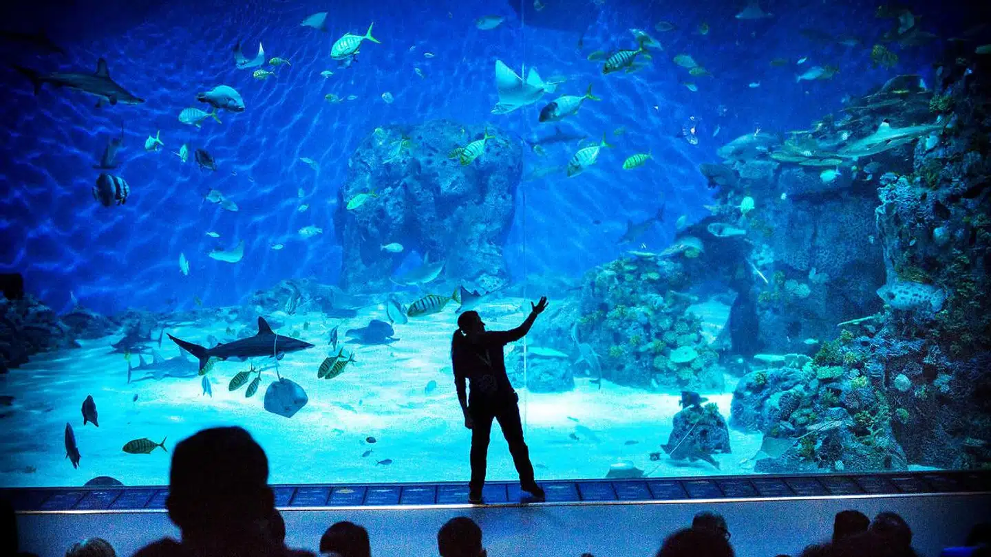 Den Blå Planet er nødstedt og forventer et stort underskud i 2020 både på grund af nedlukningen siden 12. marts og udsigterne til tabt indtjening på udenlandske turister.