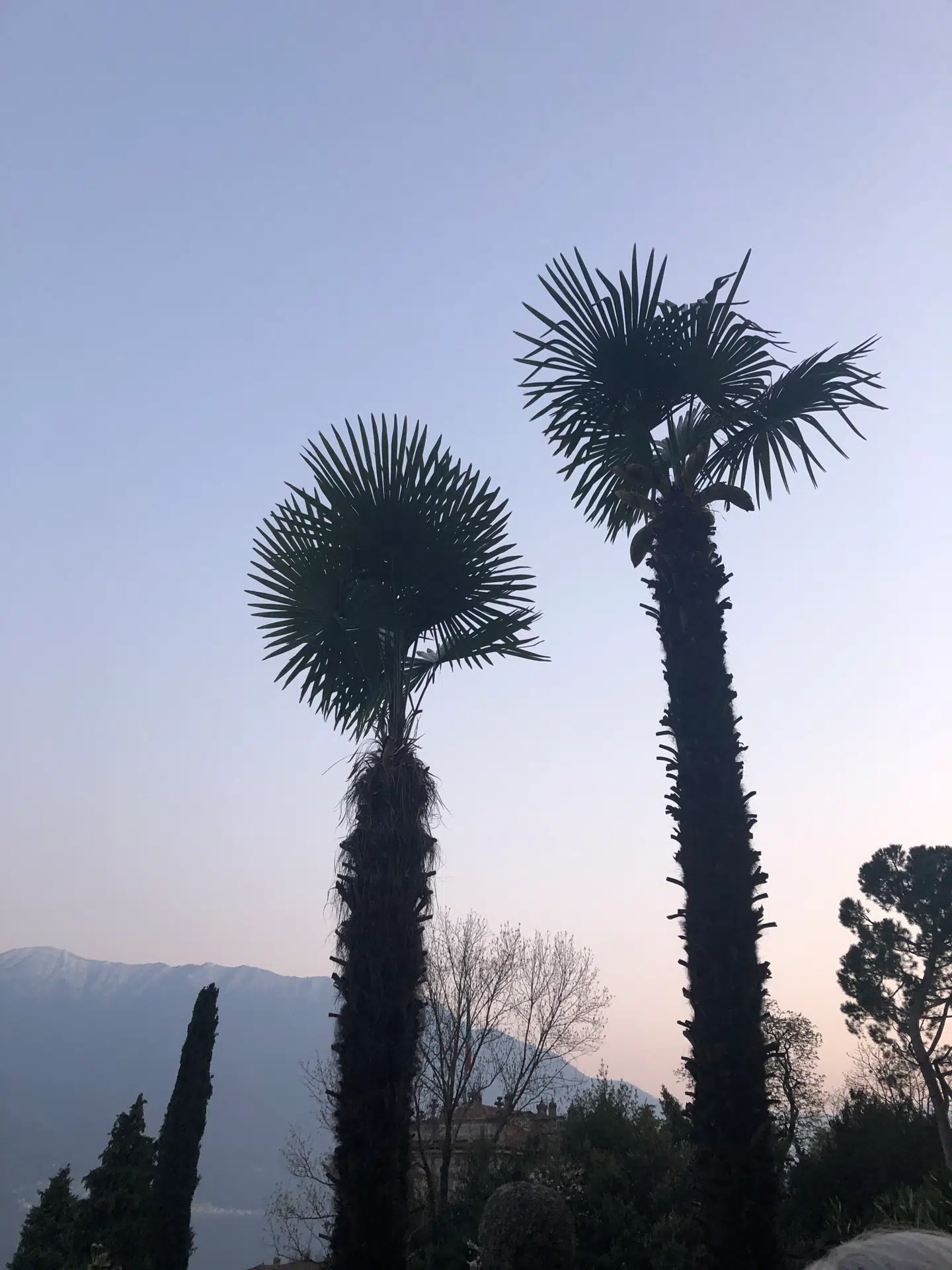 »Modebranchen har fået én over nakken. Det er sundt,« siger modedesigner Malene Birger.