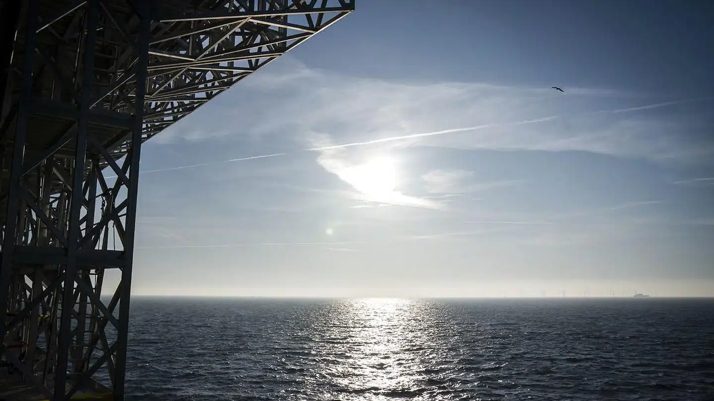 Frederiksberg, Gentofte og Københavns Kommune har givet lov til, at der kan ledes 290.000 kubikmeter spildevand ud i Øresund (Foto: Niels Christian Vilmann/Ritzau Scanpix)