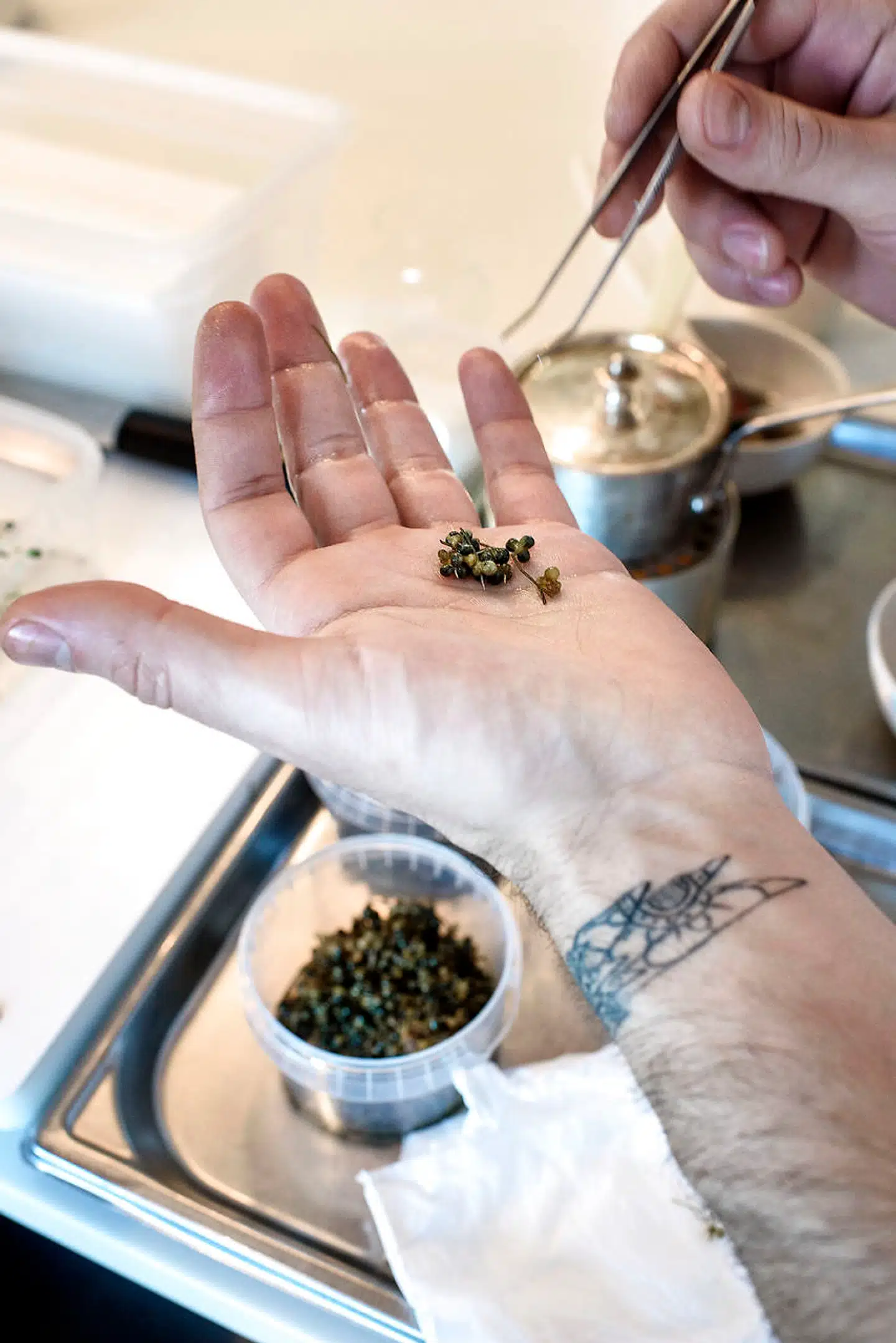 Angelika bliver, i modsætning til mange af tidens mest eksklusive restauranter, »pincet-frit« område, erklærer Rasmus Kofoed.