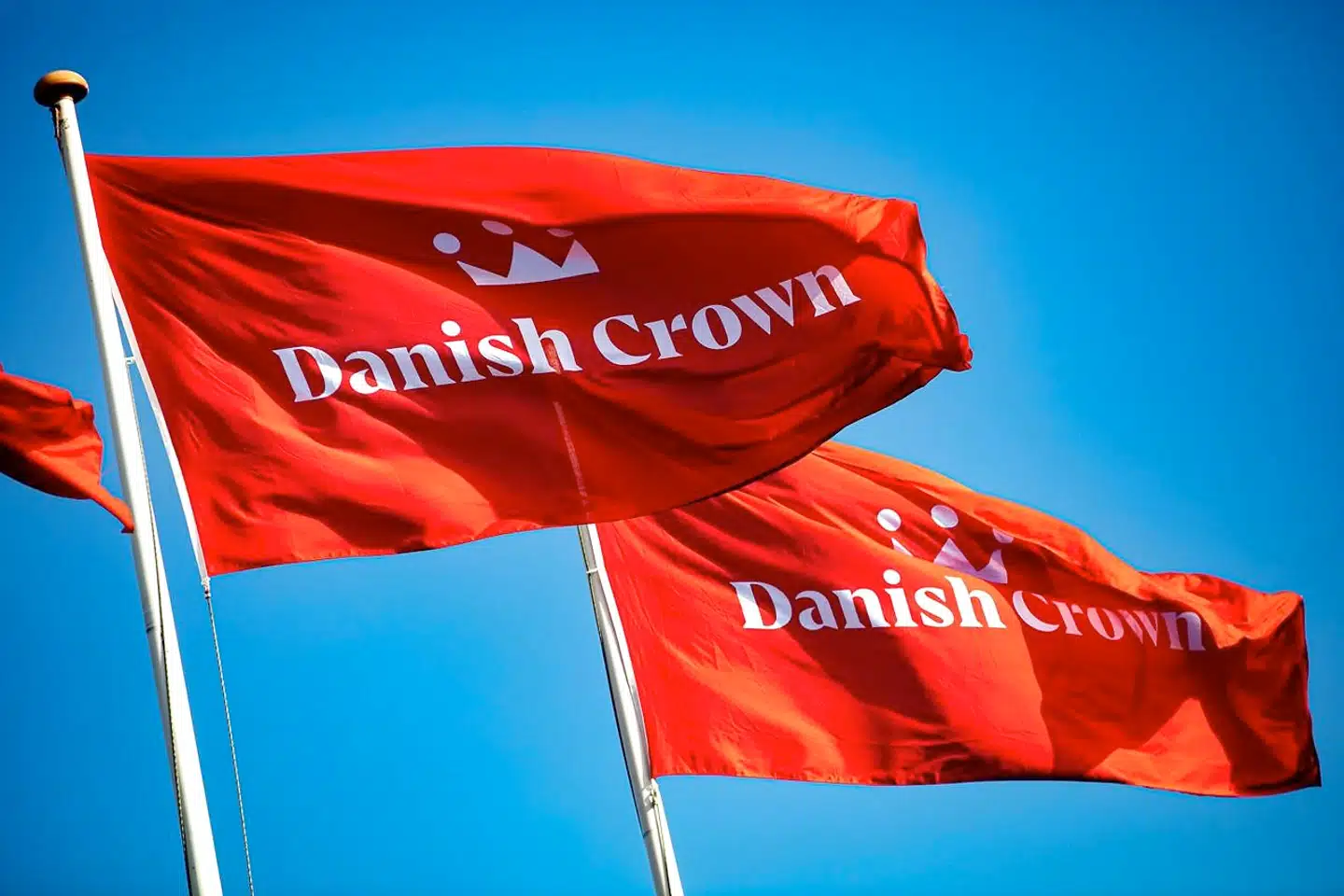 Danish Crown øger overskuddet i historisk halvår.