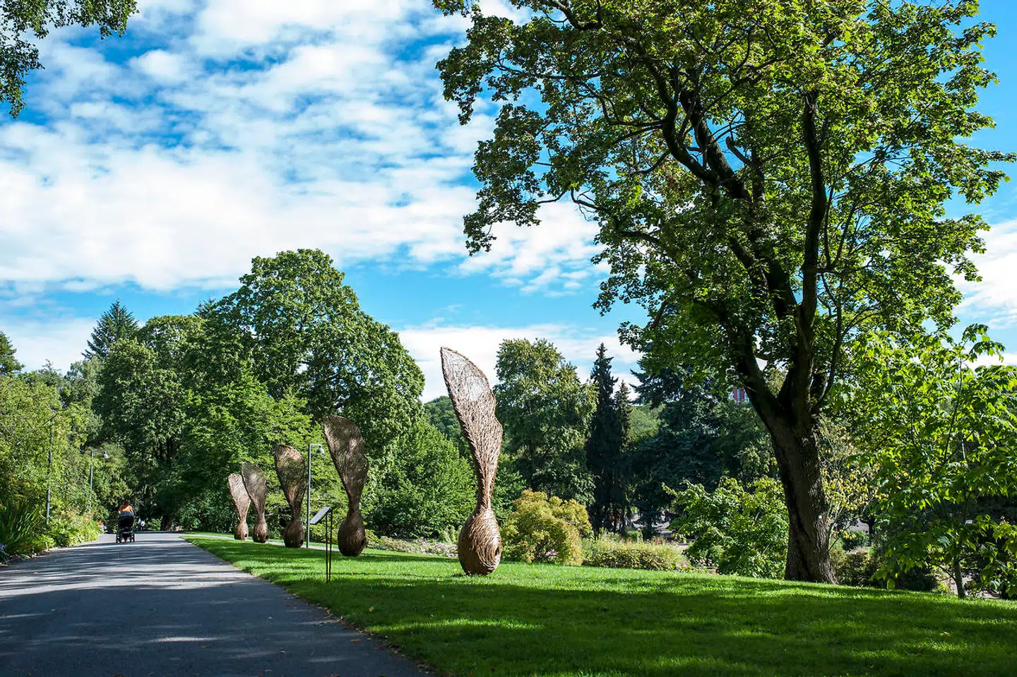 Botanisk Have lægger jord til det NThomas Johannesen/VisitOsloaturhistoriske Museum, så man slår to fluer med et smæk.