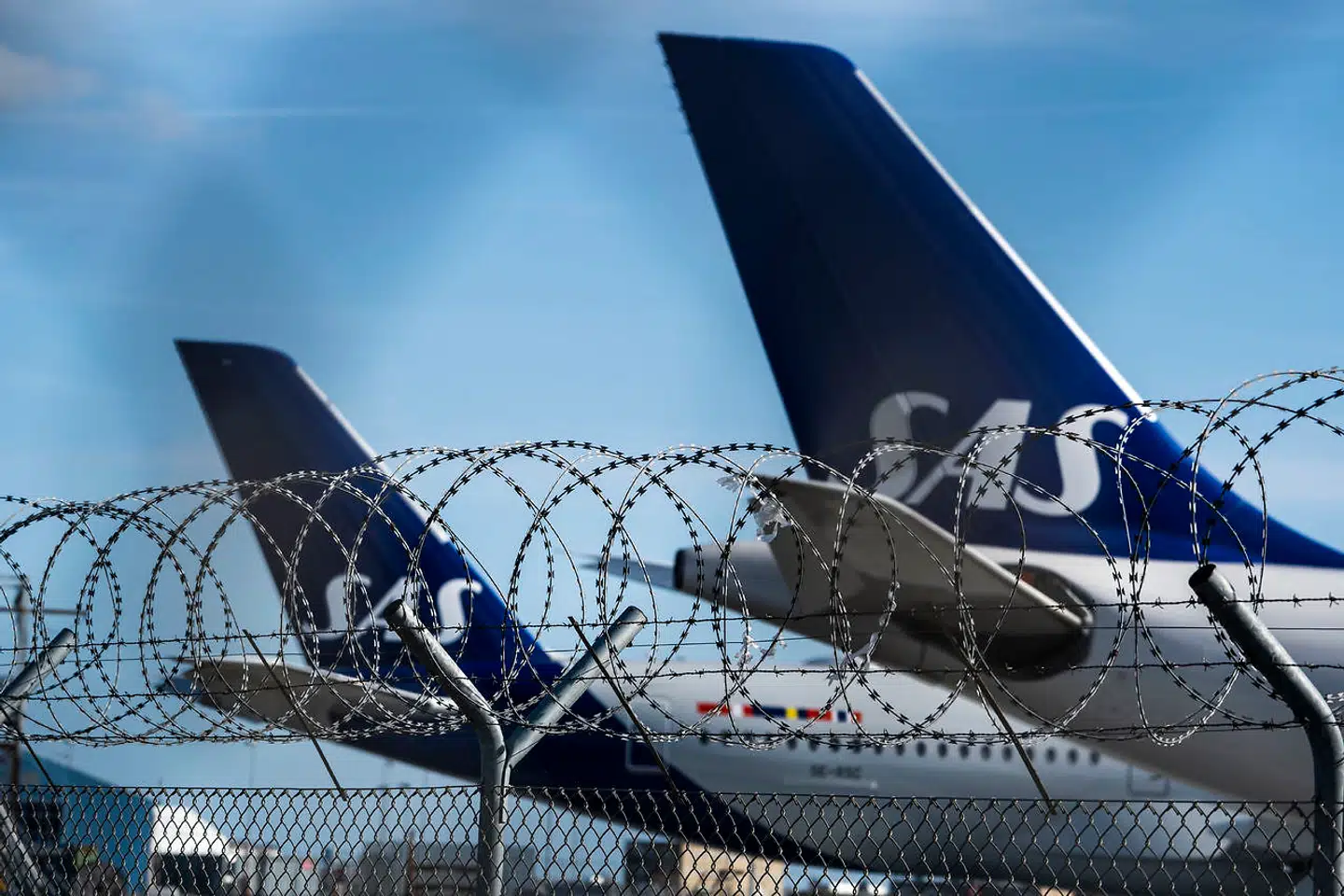 (ARKIVFOTO) Covid-19 - Groundede/parkerede SAS fly overalt i Kastrup Lufthavn, den 19. marts 2020. Færre vil rejse med fly i de kommende år, også efter coronakrisen. Nervøsitet og ændrede vaner spiller ind. Udsigten får SAS til at skære 5000 stillinger. Det skriver Ritzau, tirsdag den 28. april 2020.. (Foto: Martin Sylvest/Ritzau Scanpix)