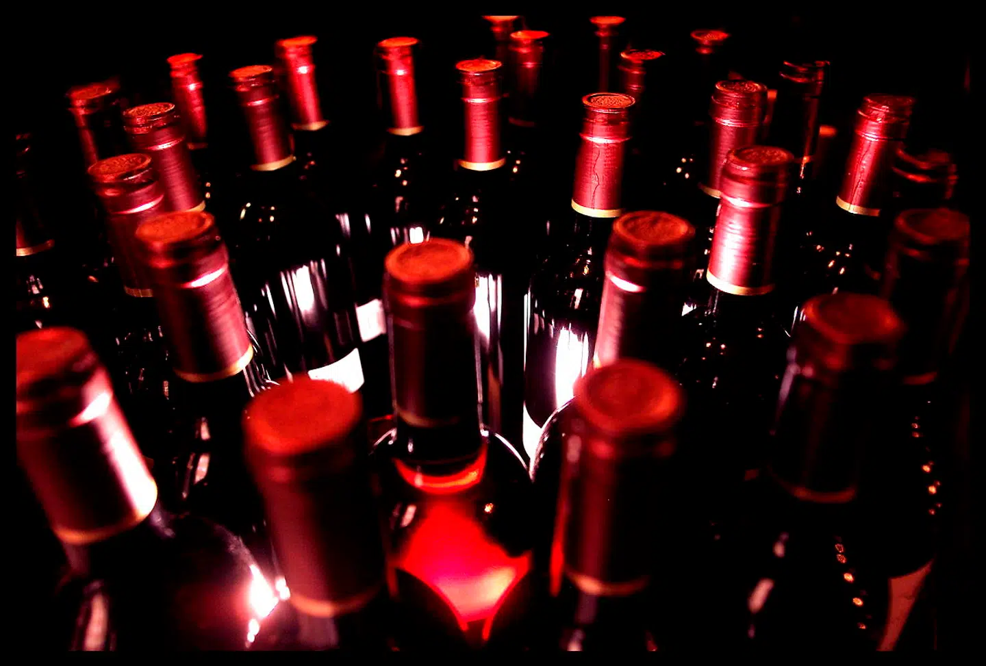 Vinflasker så langt øjet rækker. Theis Vine håber at tappe ind i det svenske marked for onlinesalg af vine, der ifølge vinhandleren har et stort potentiale, skriver Børsen.